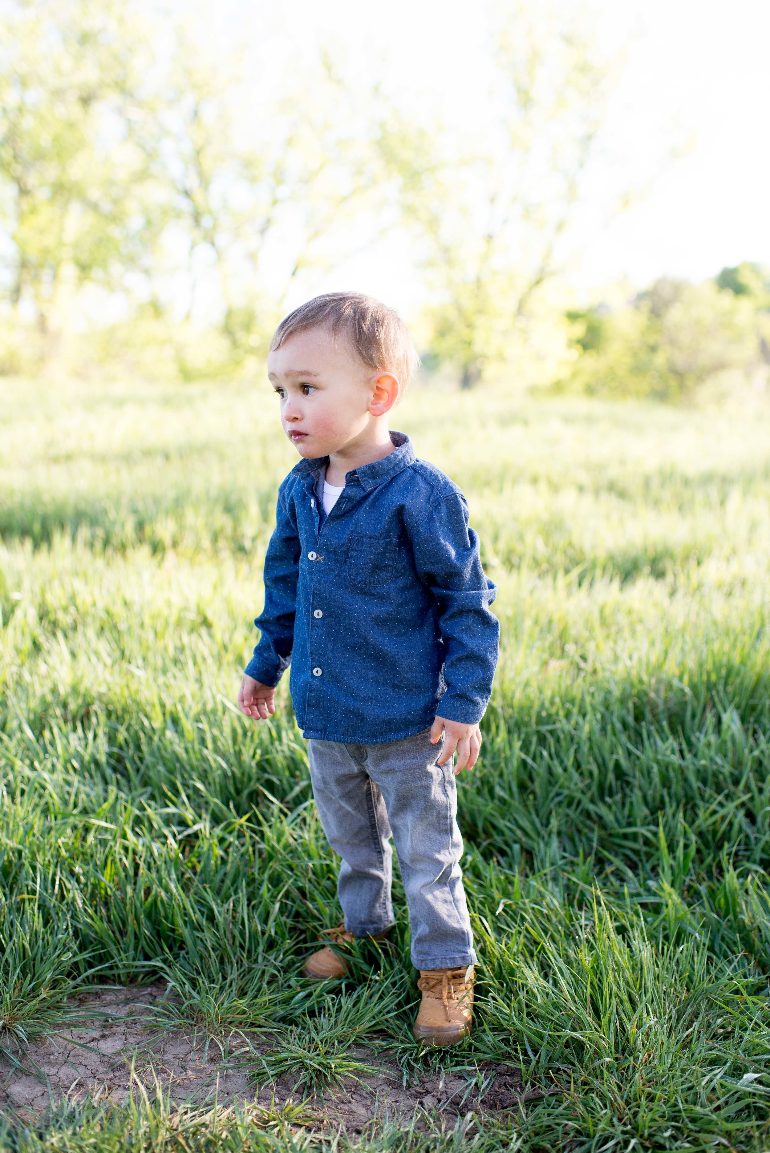 colorado lifestyle family photographer