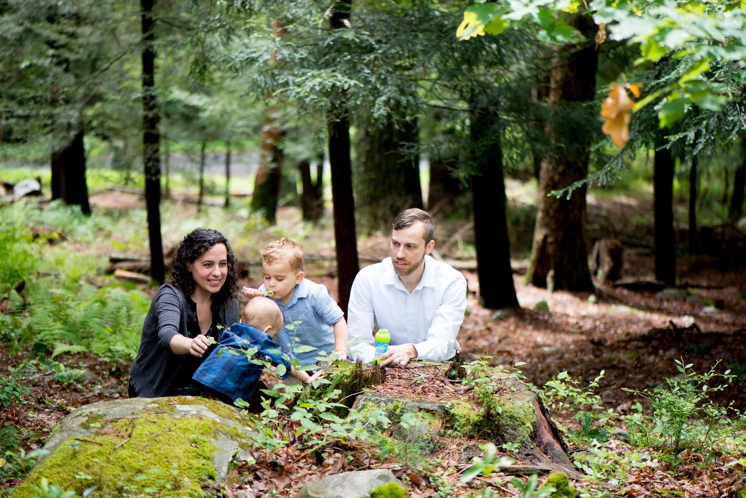 sparrow bush ny family photographer