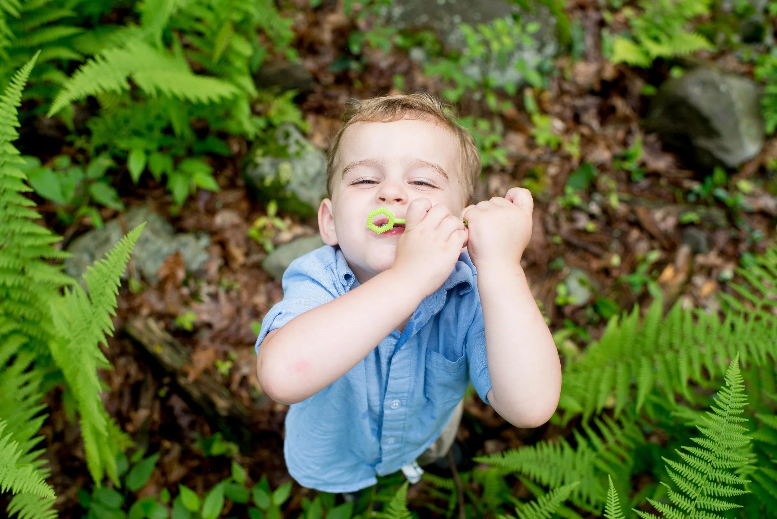 sparrow bush ny family photographer