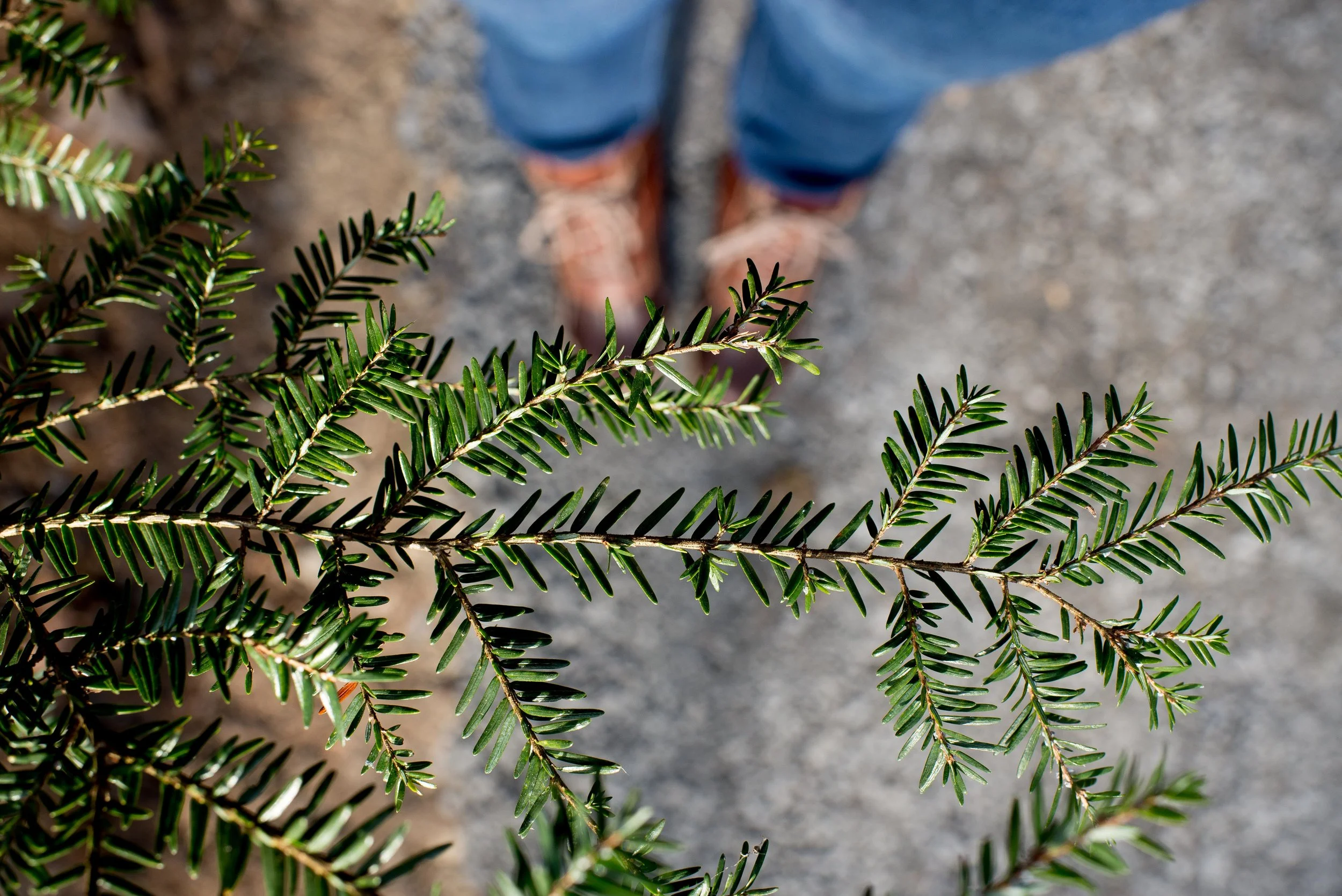 shaking out the curated life