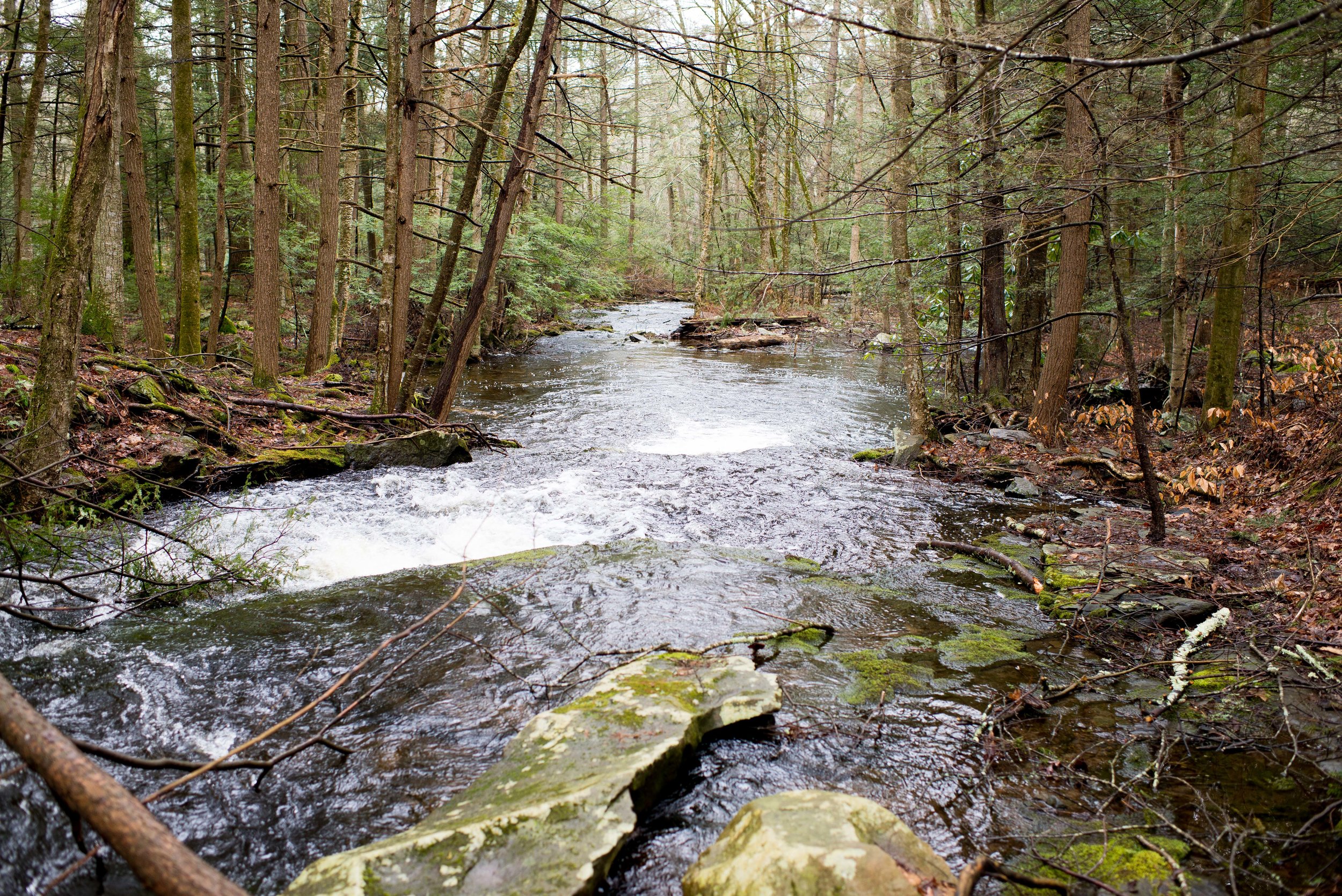 how nature inspires creativity and peace