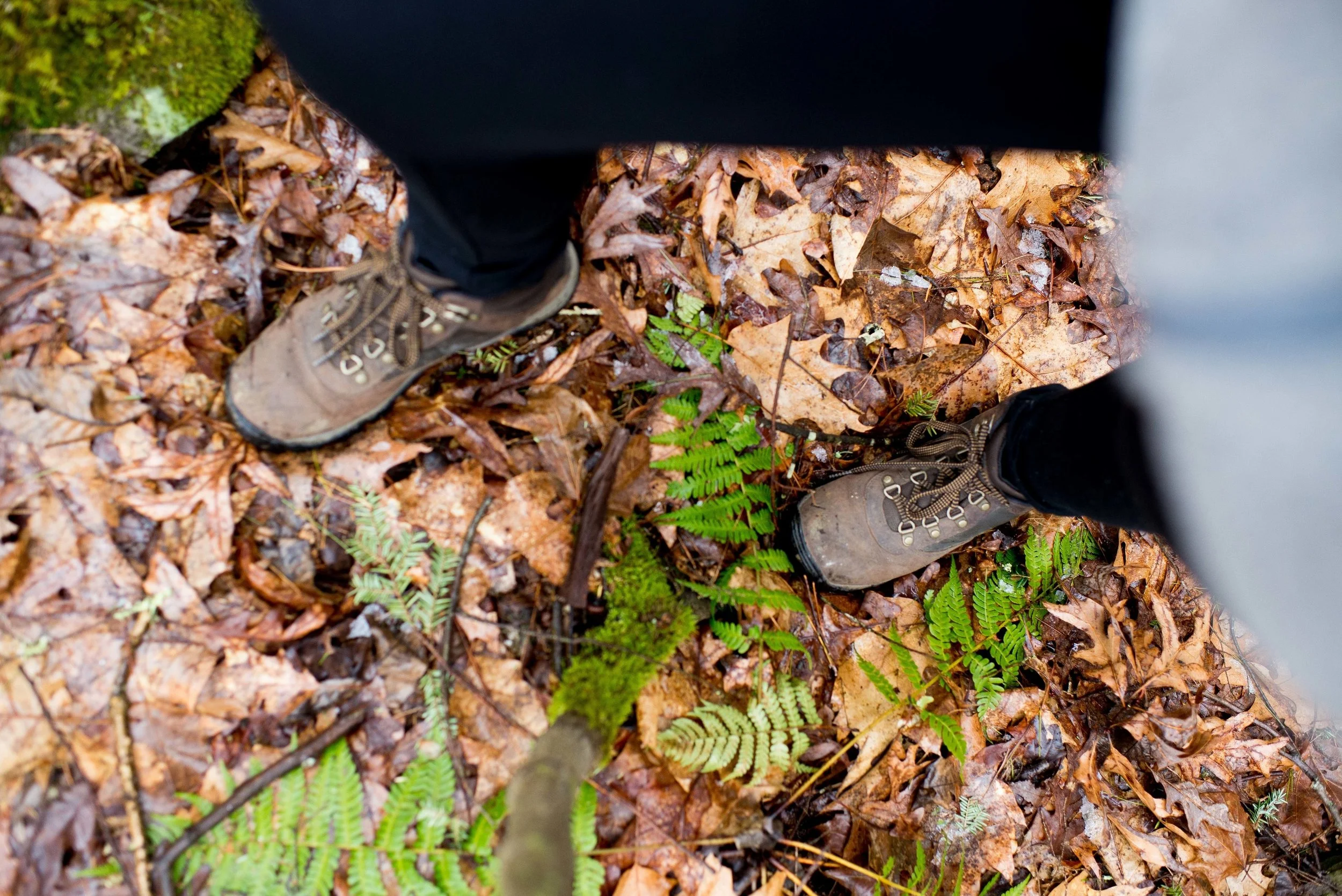 how nature inspires creativity and peace