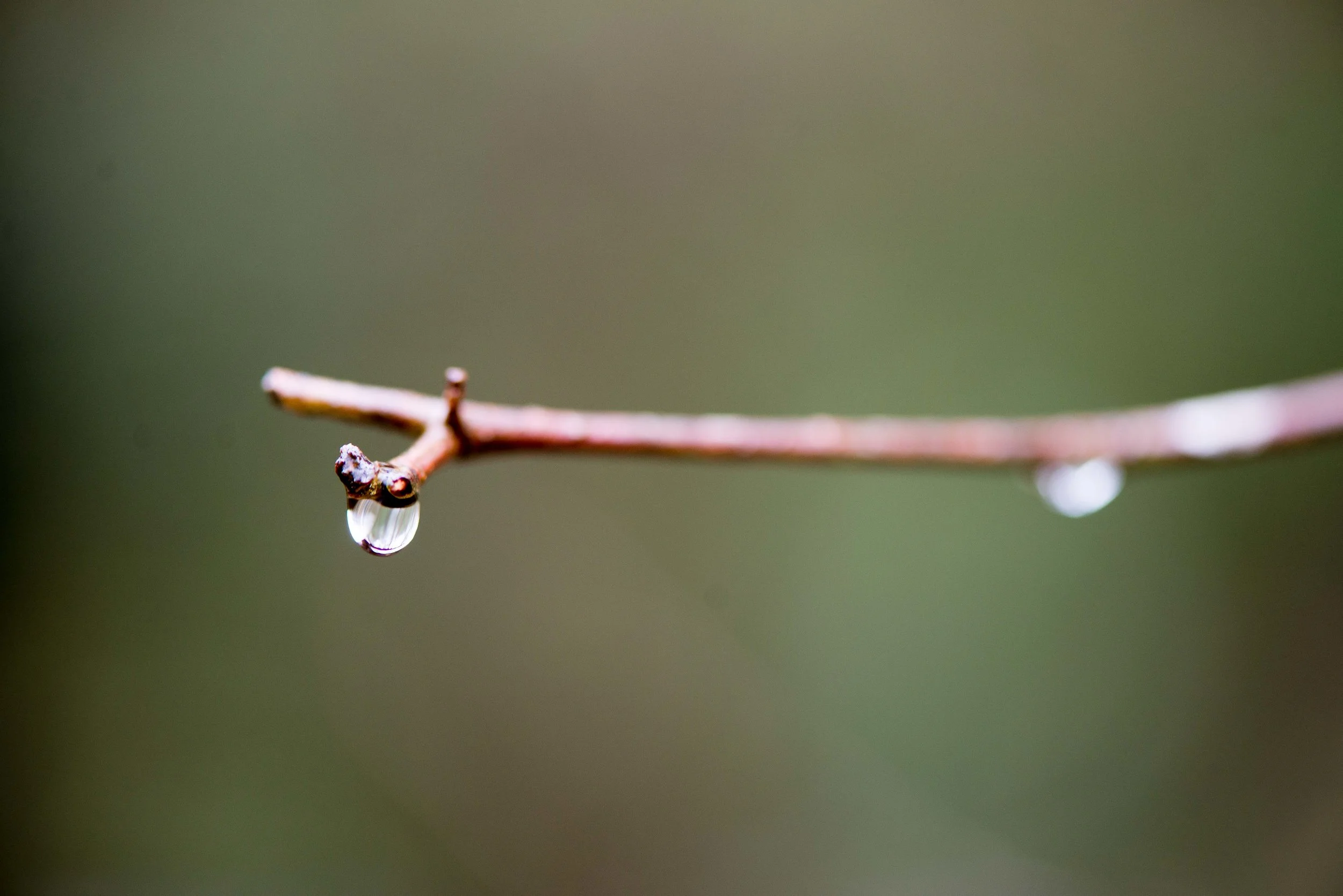 how nature inspires creativity and peace