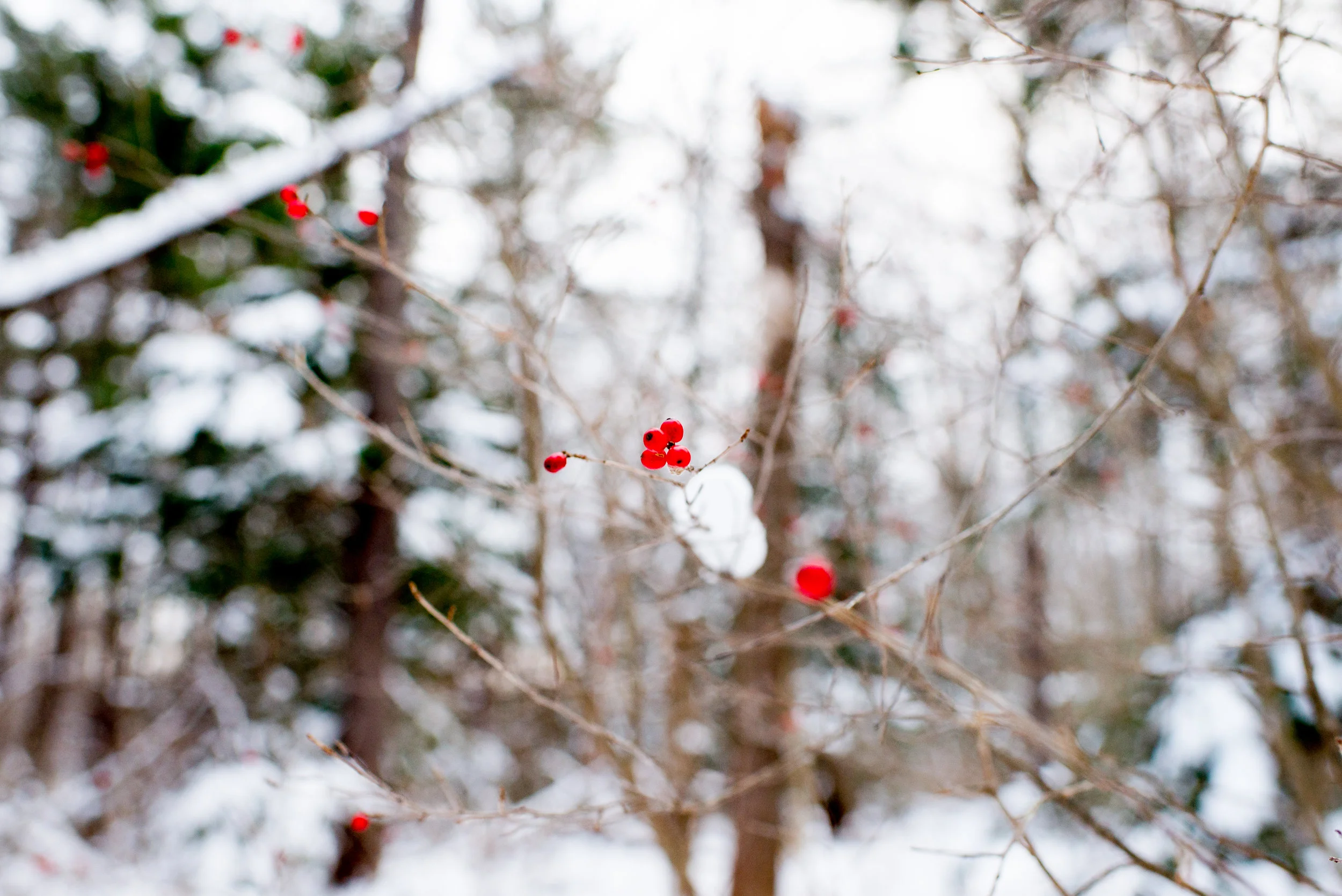 what I learned from loosing my photos