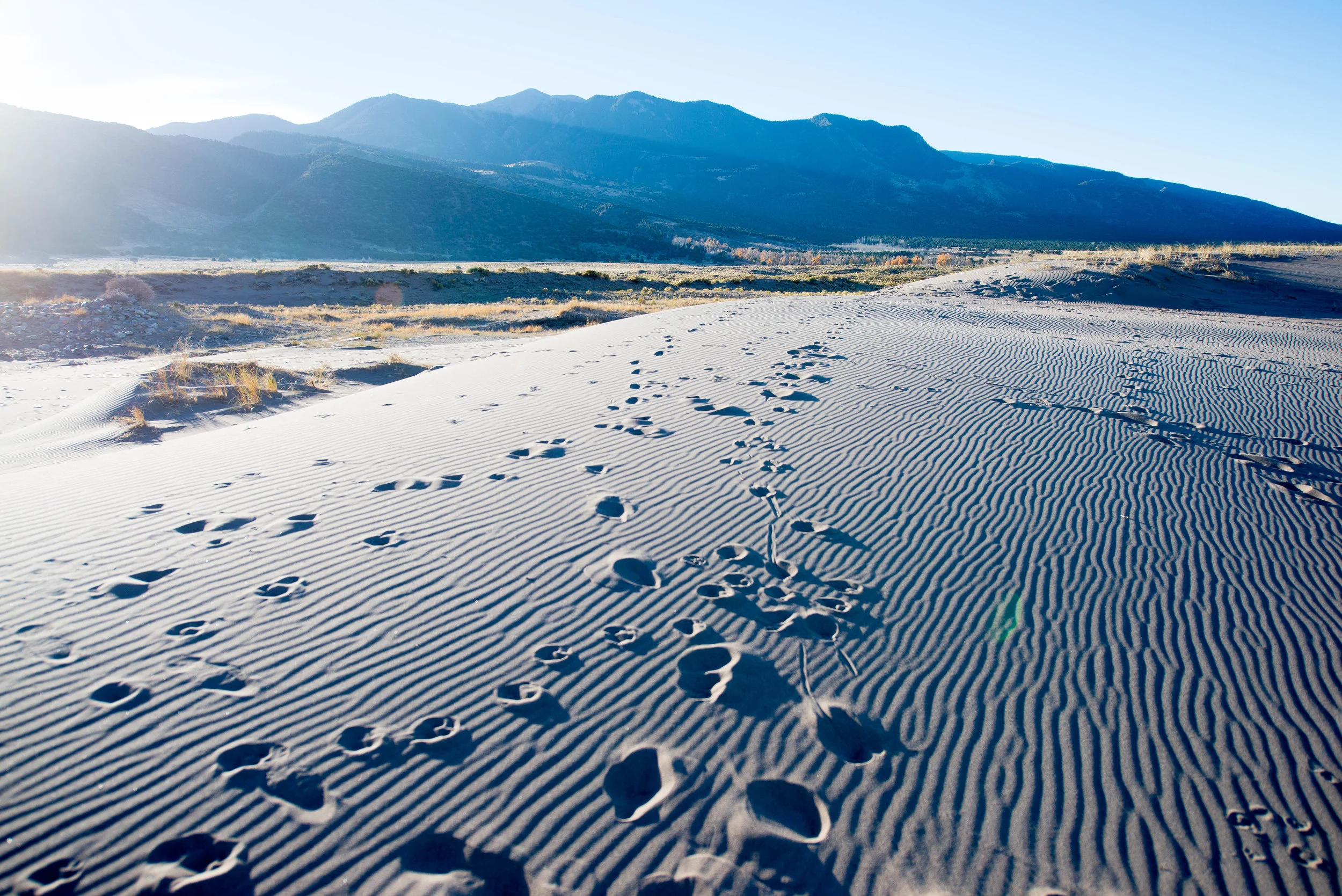 Feeling Like An Inspirational Desert?