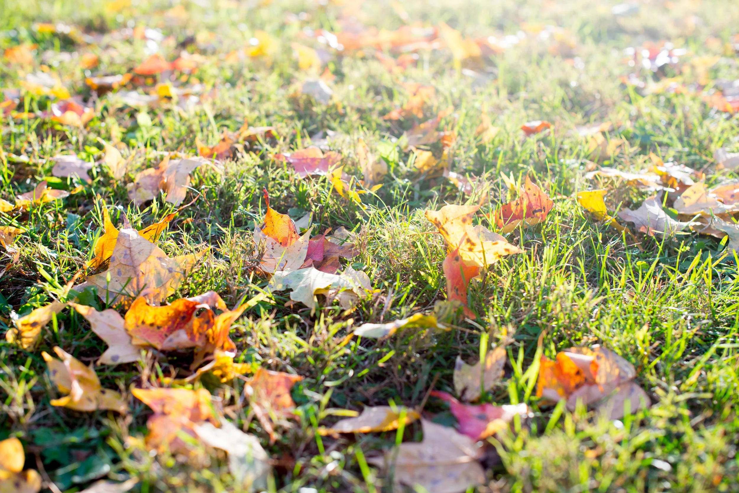 three ways to embrace change