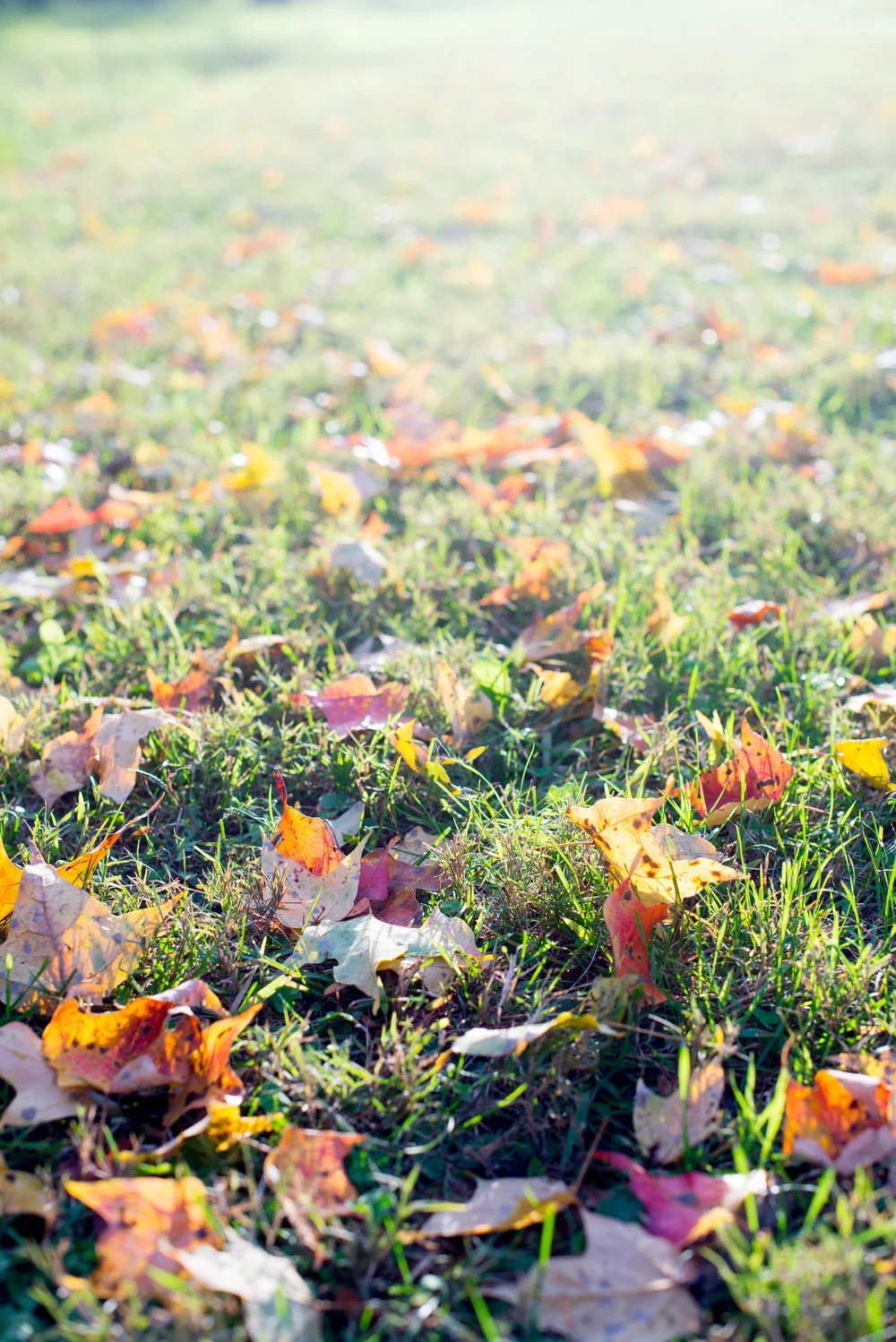 three ways to embrace change