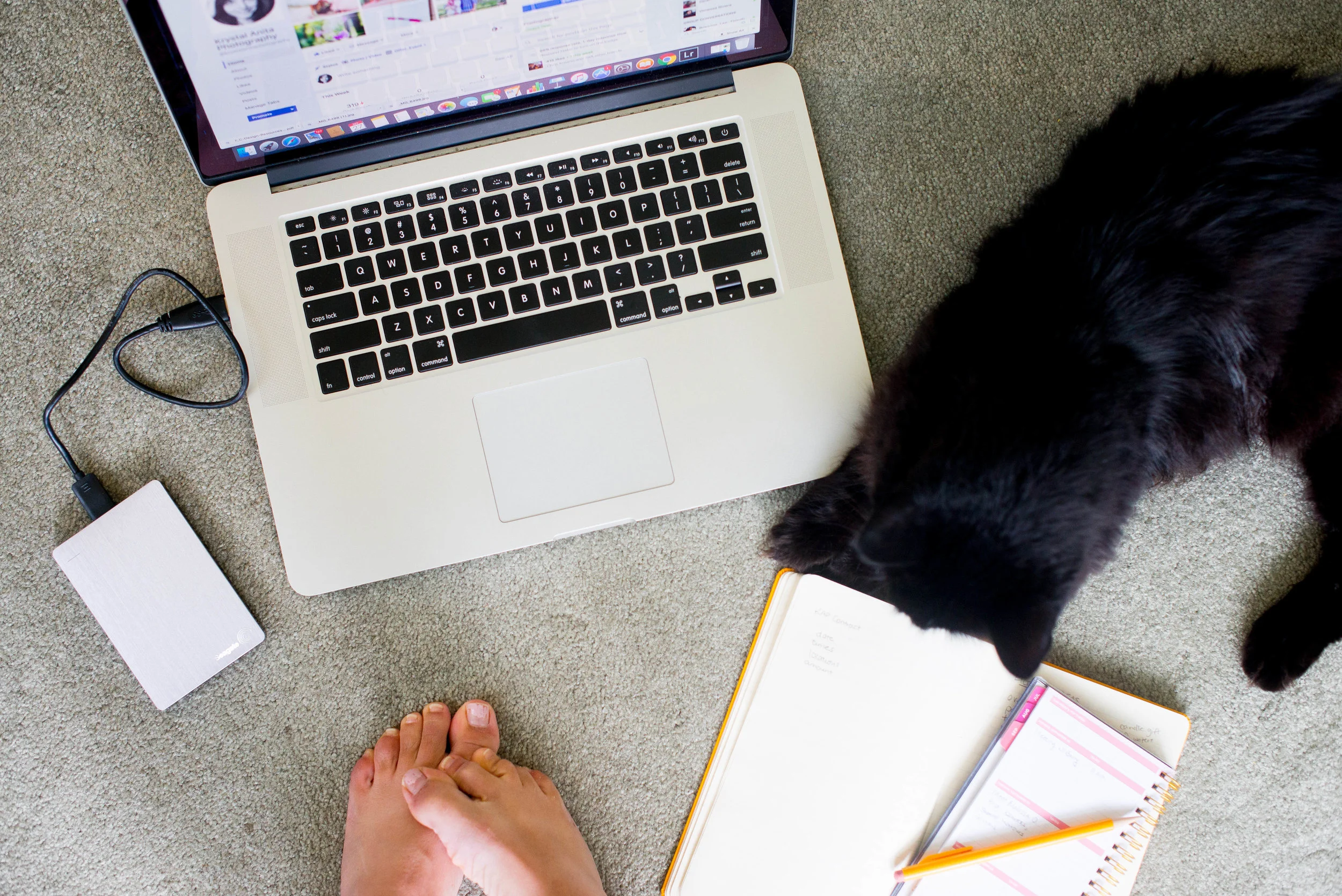 what it takes to make your passion a reality