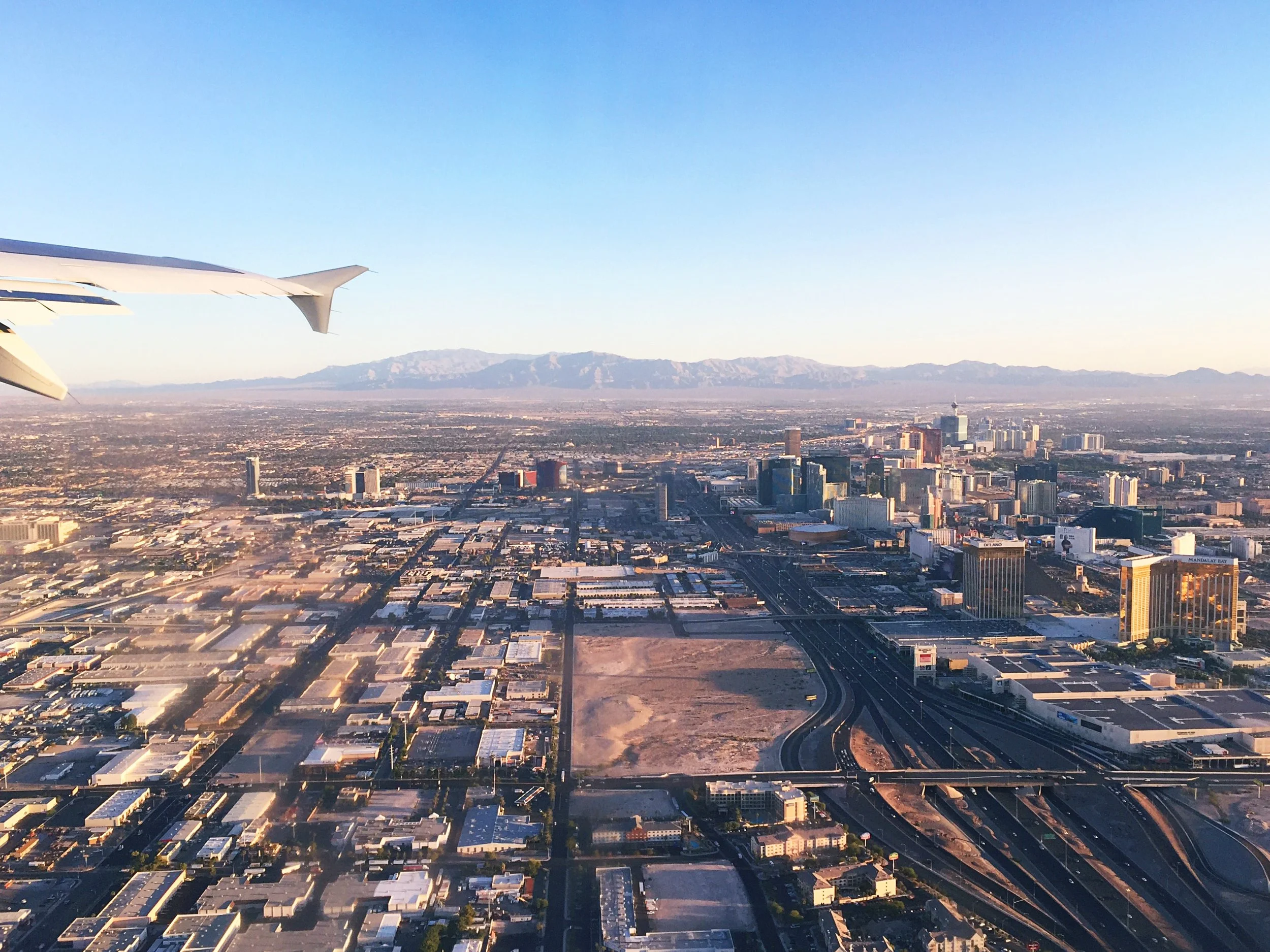 what it takes to make your passion a reality