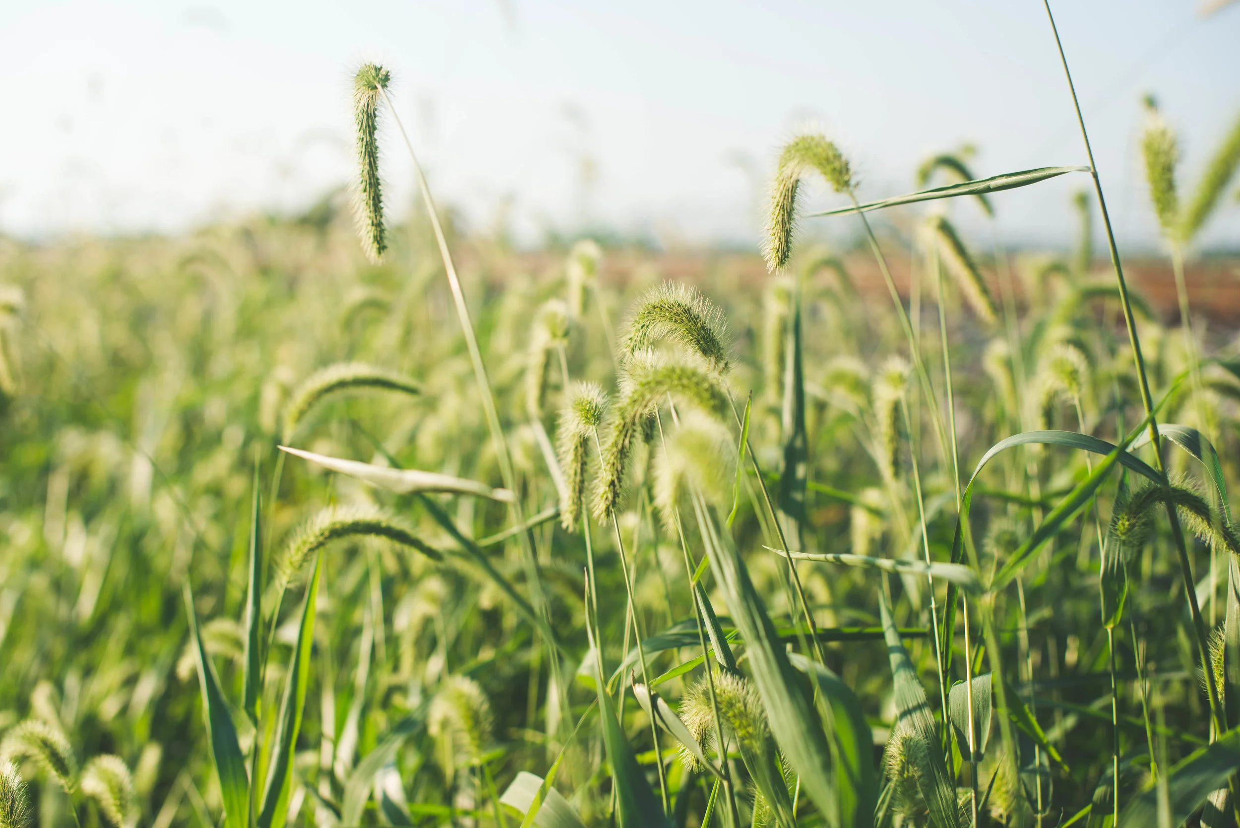 thoughts from last minute plans