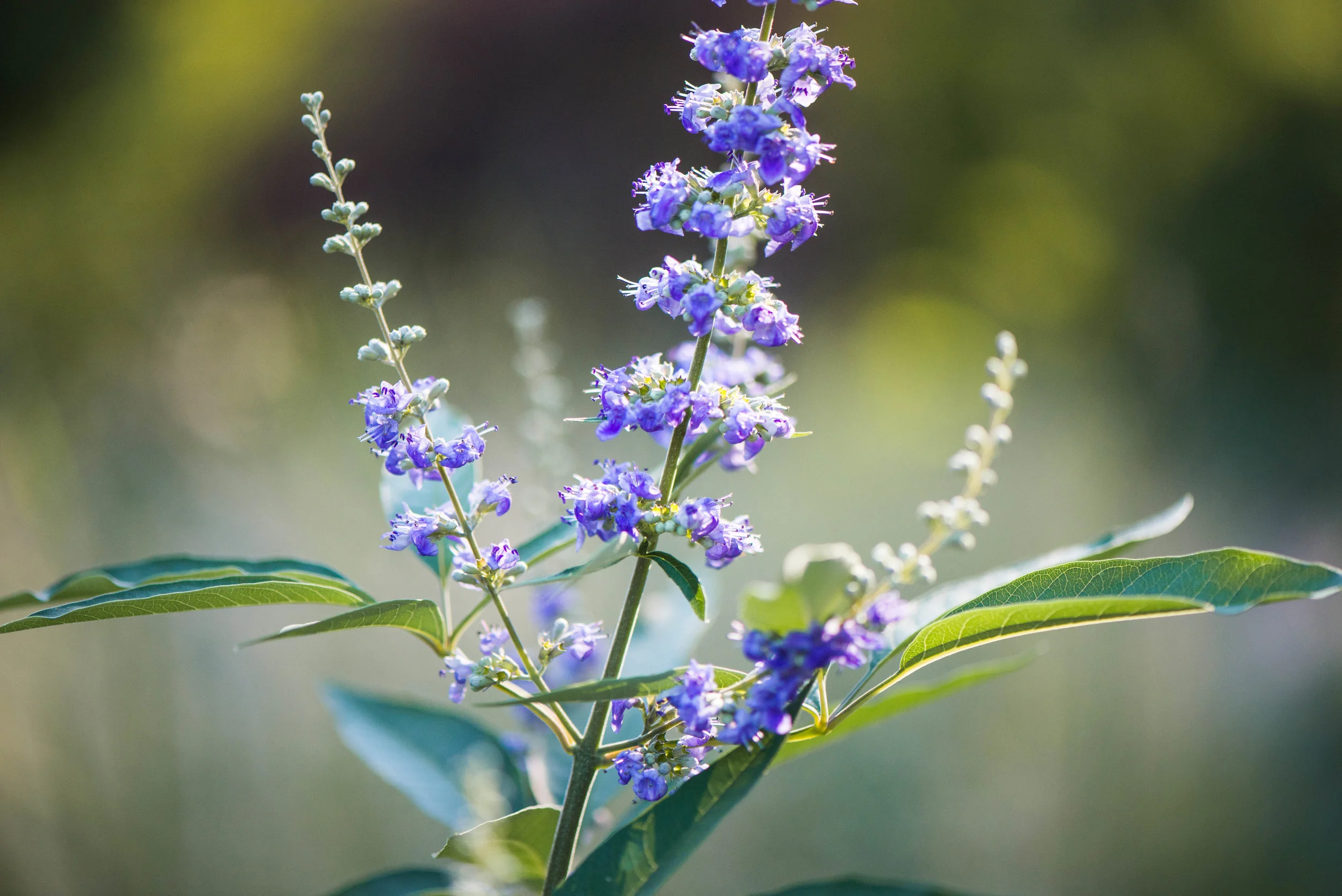 doing it despite the challenge