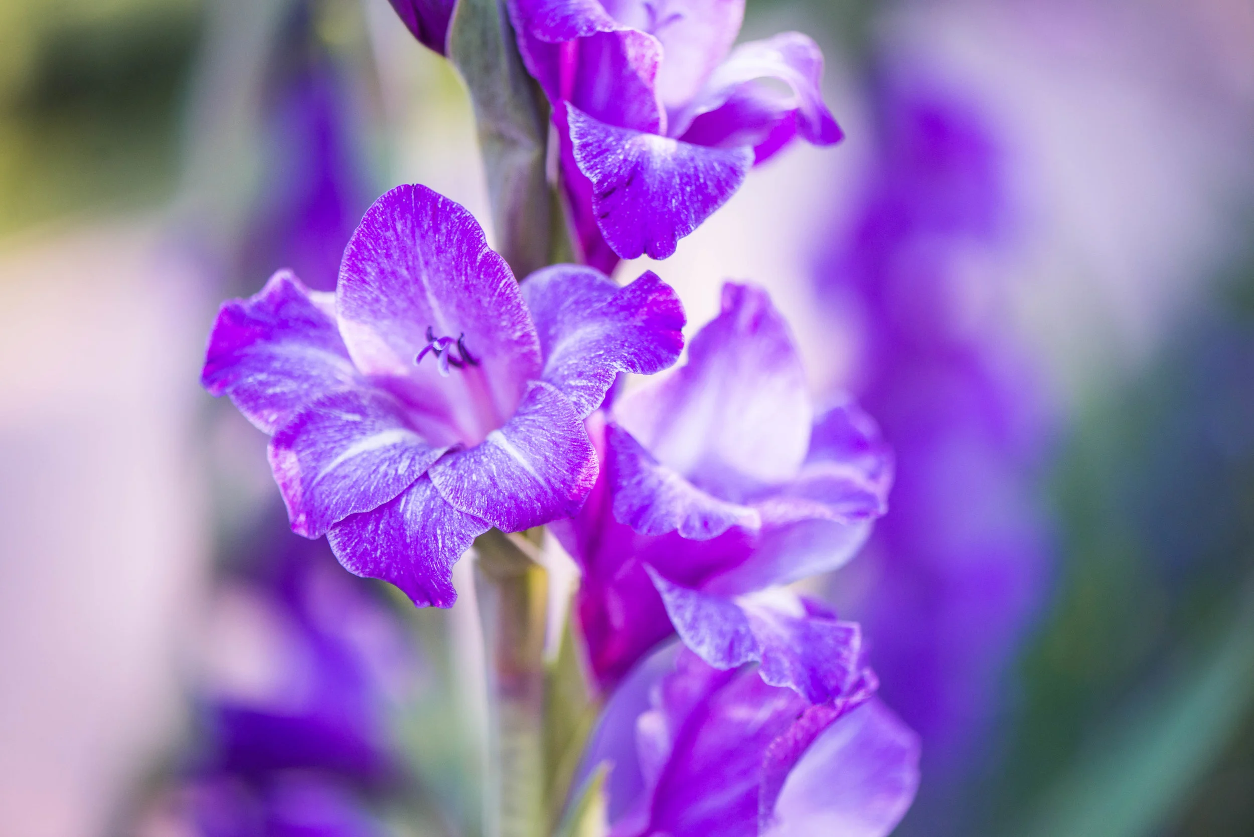 doing it despite the challenge