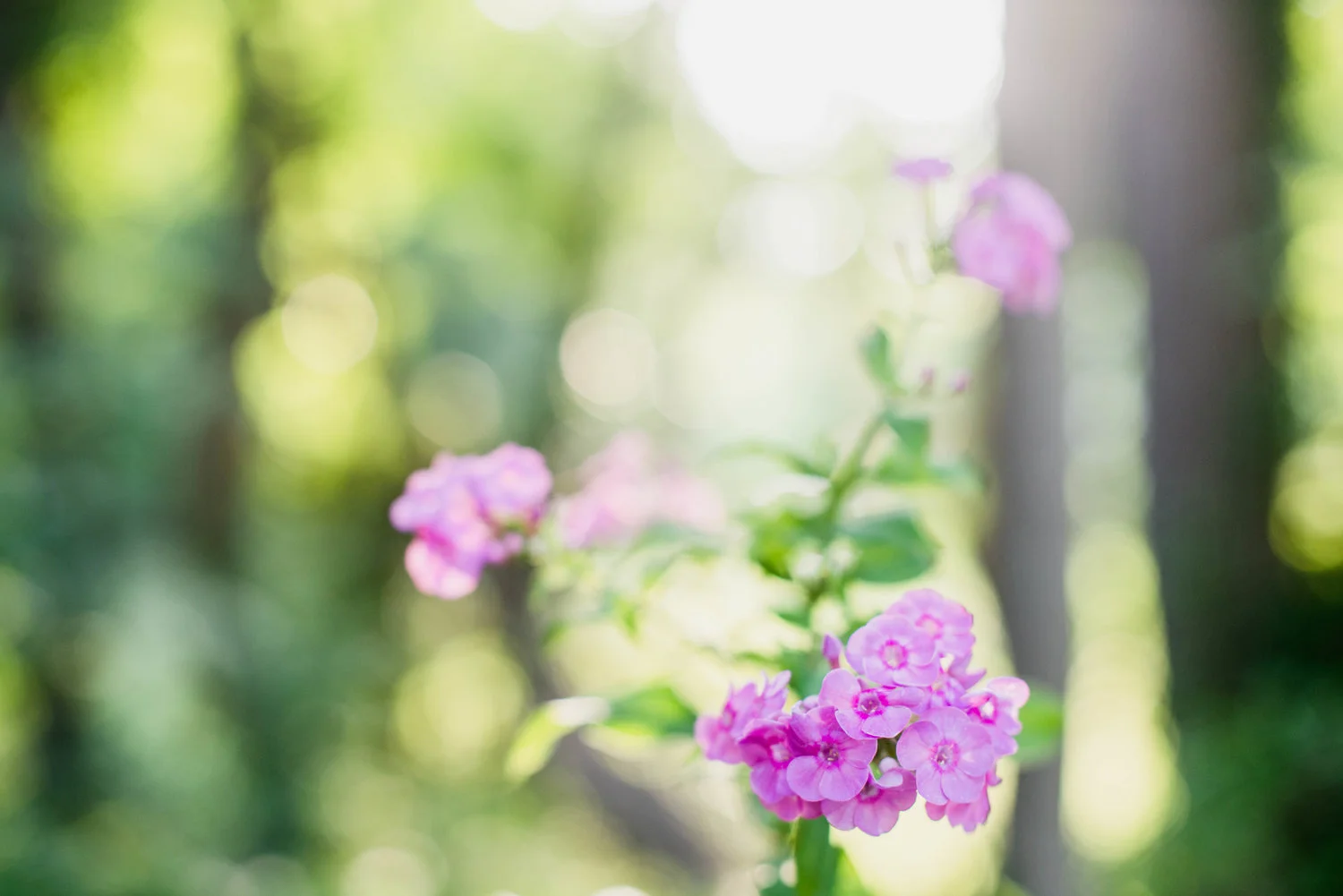 when you just need a little encouragement