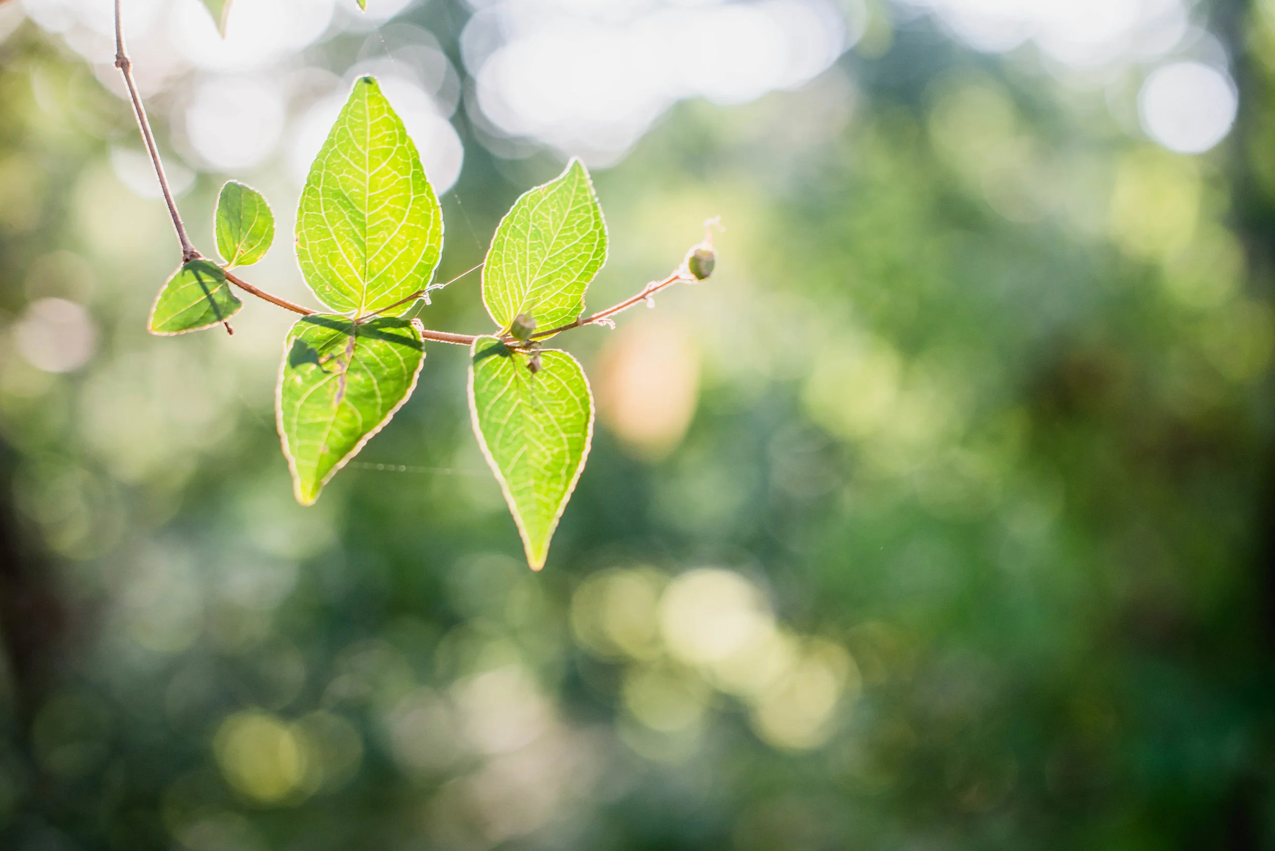 when you just need a little encouragement