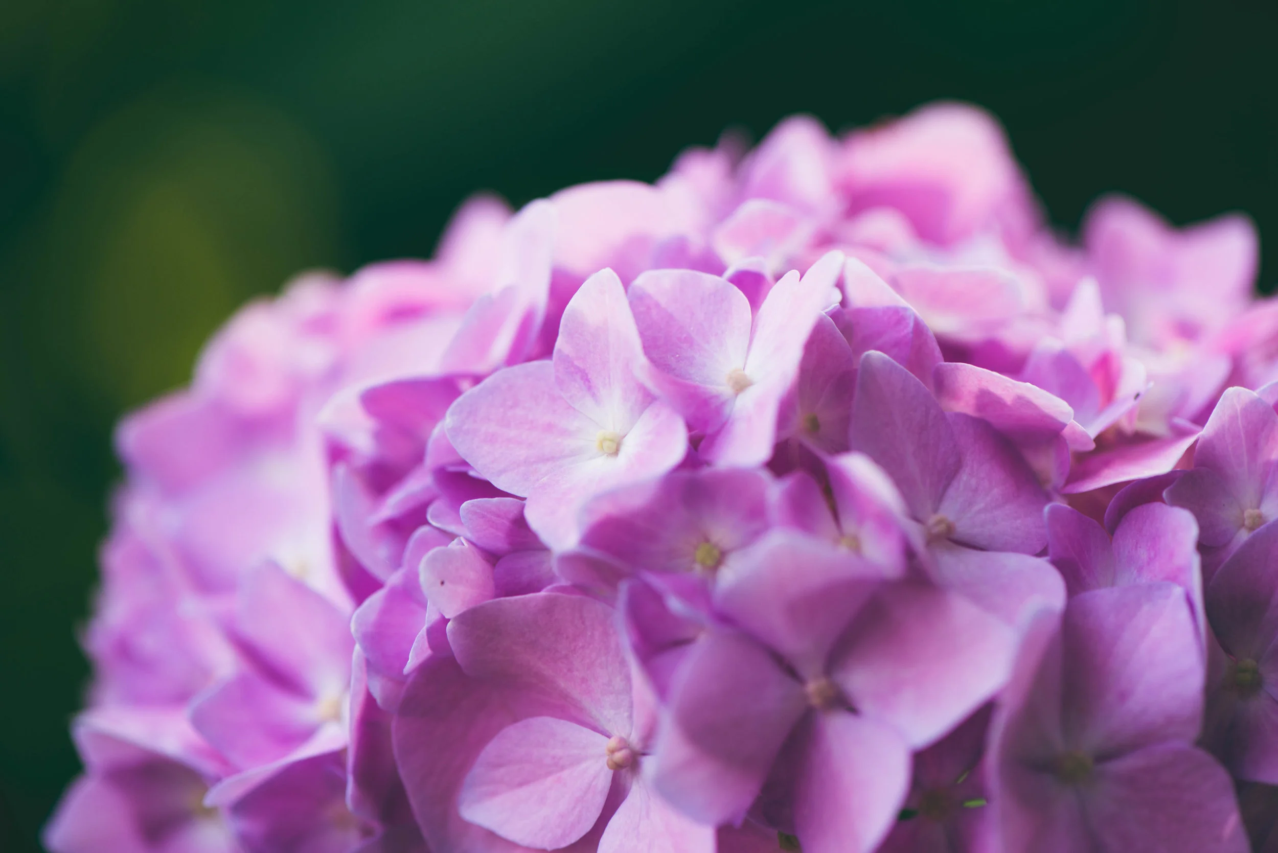 five steps towards feeling blessed