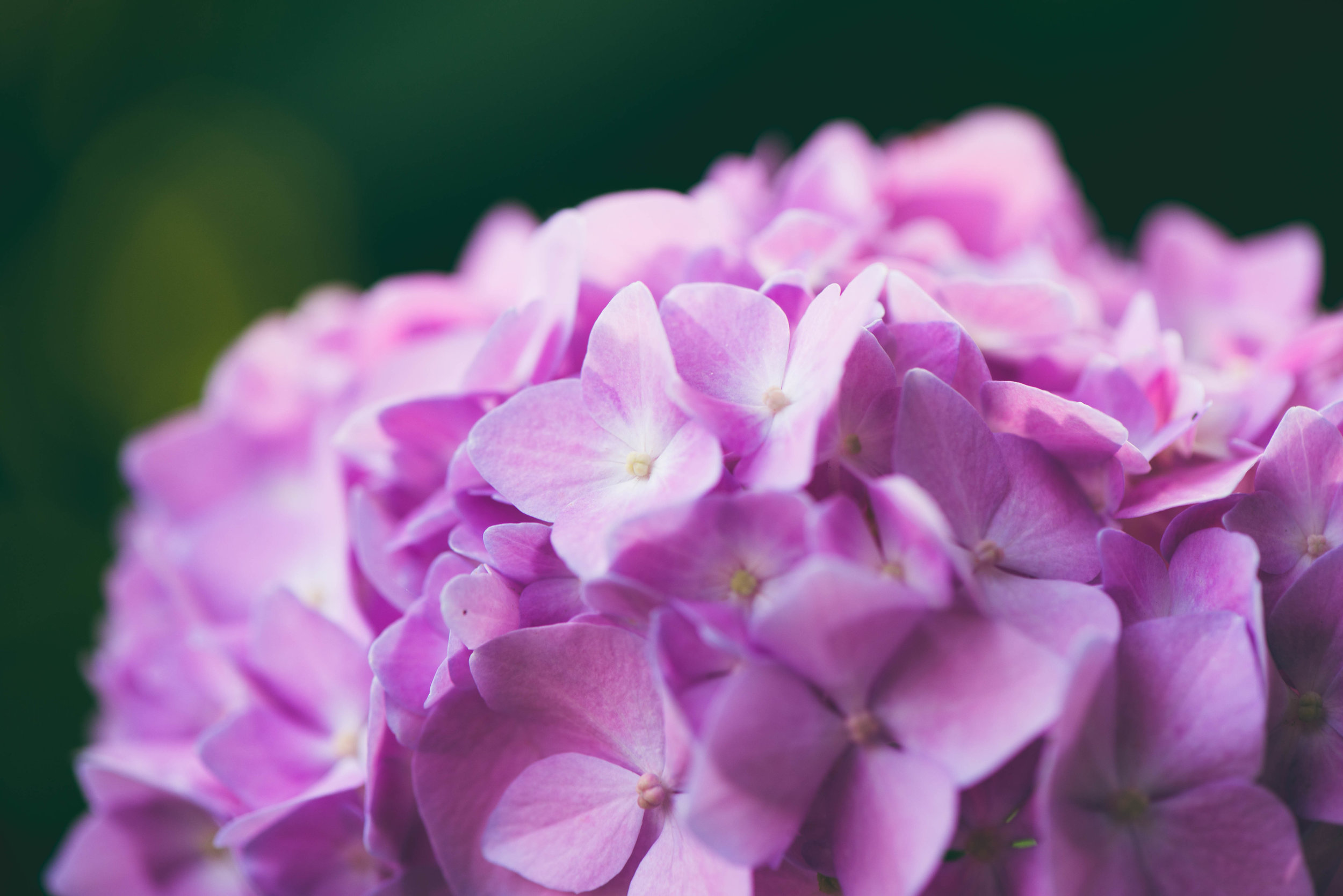 5 Steps Towards Feeling Blessed