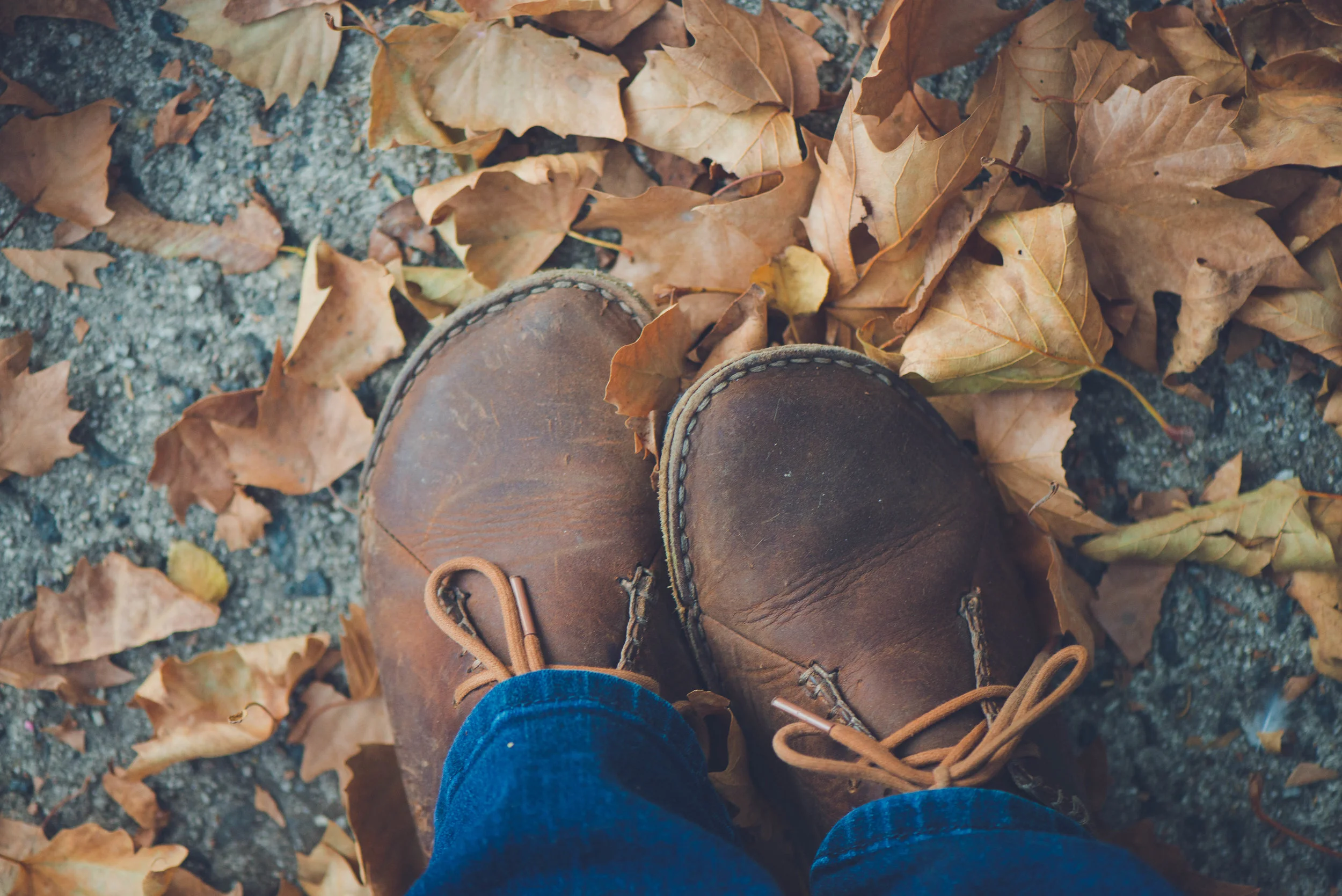 what to do with fear