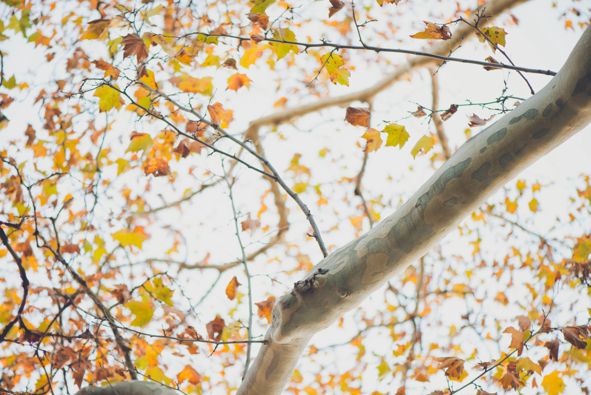 what to do with fear