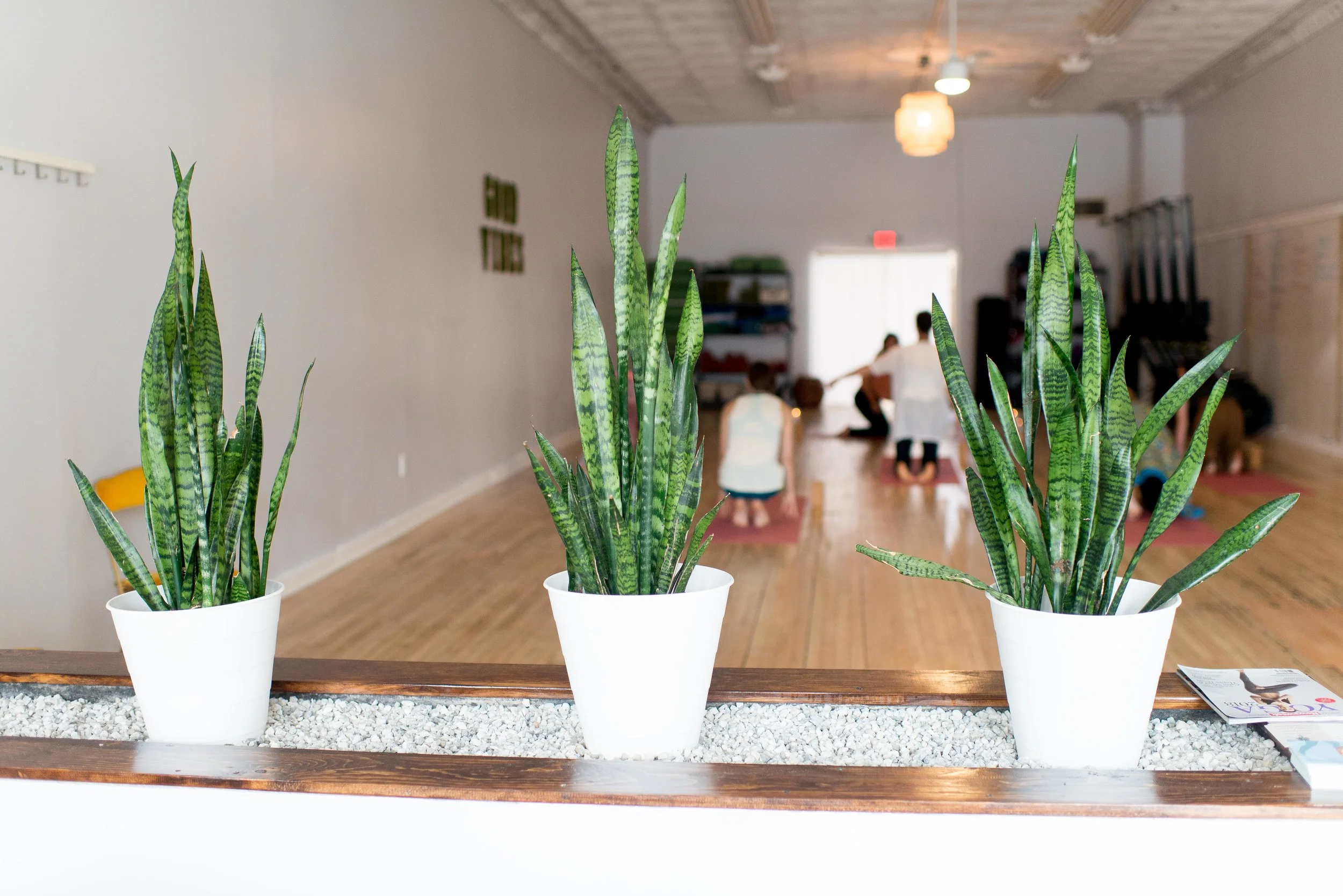 flourish body soul yoga studio port jervis ny