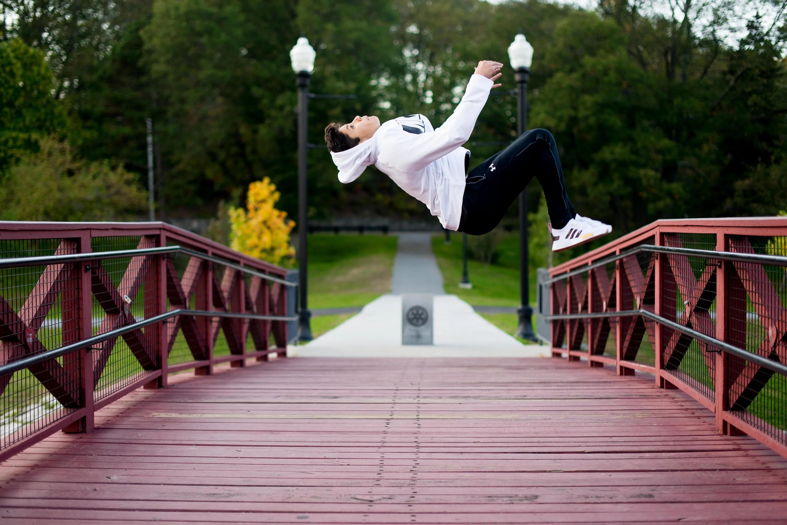 lallo family elm park worcester ma