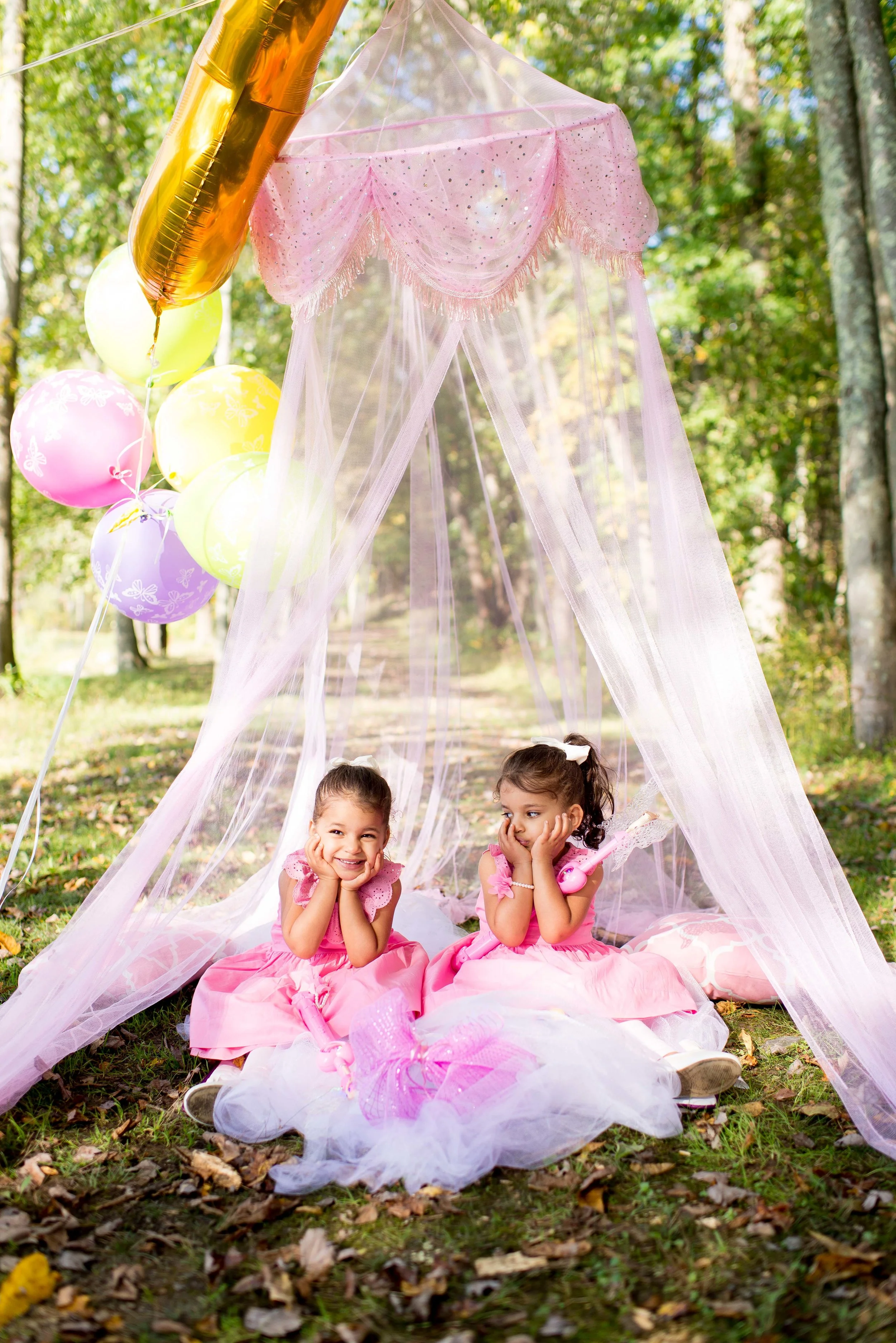Peralta Grullon Twins 3rd Birthday Winding Hills County Park Montgomery NY