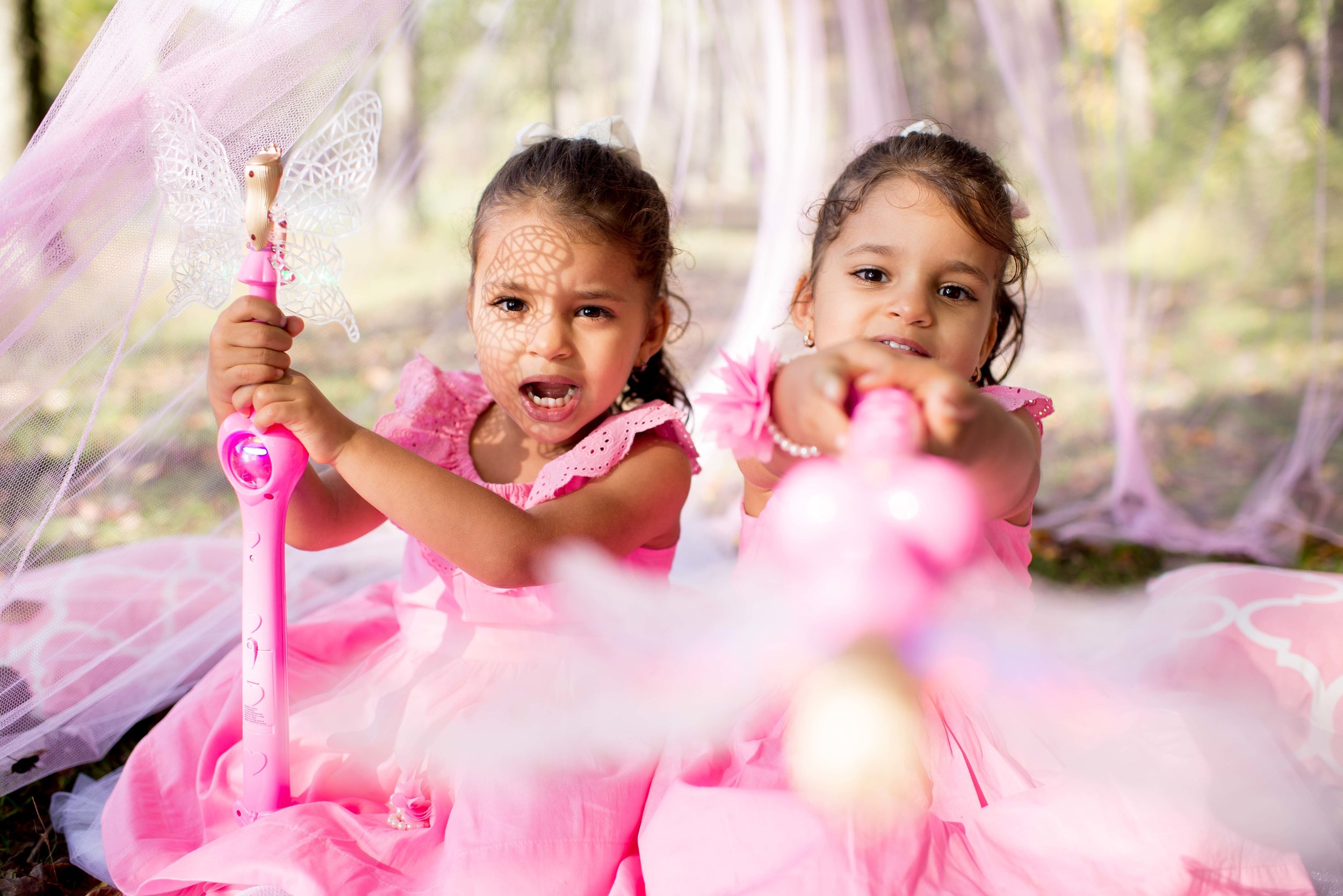 Twins 3rd Birthday - Winding Hills County Park Montgomery, NY