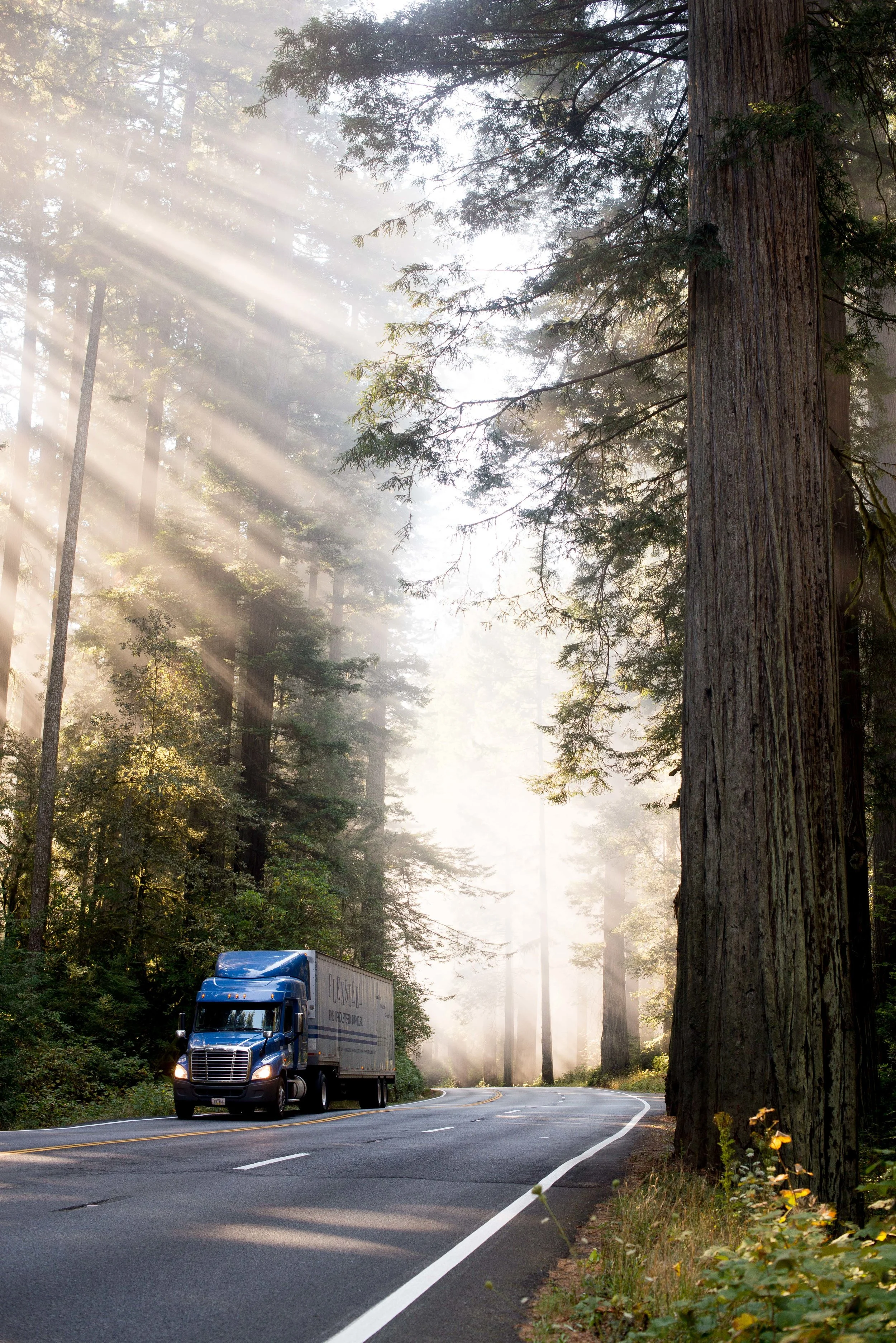 Redwood National  State Parks CA