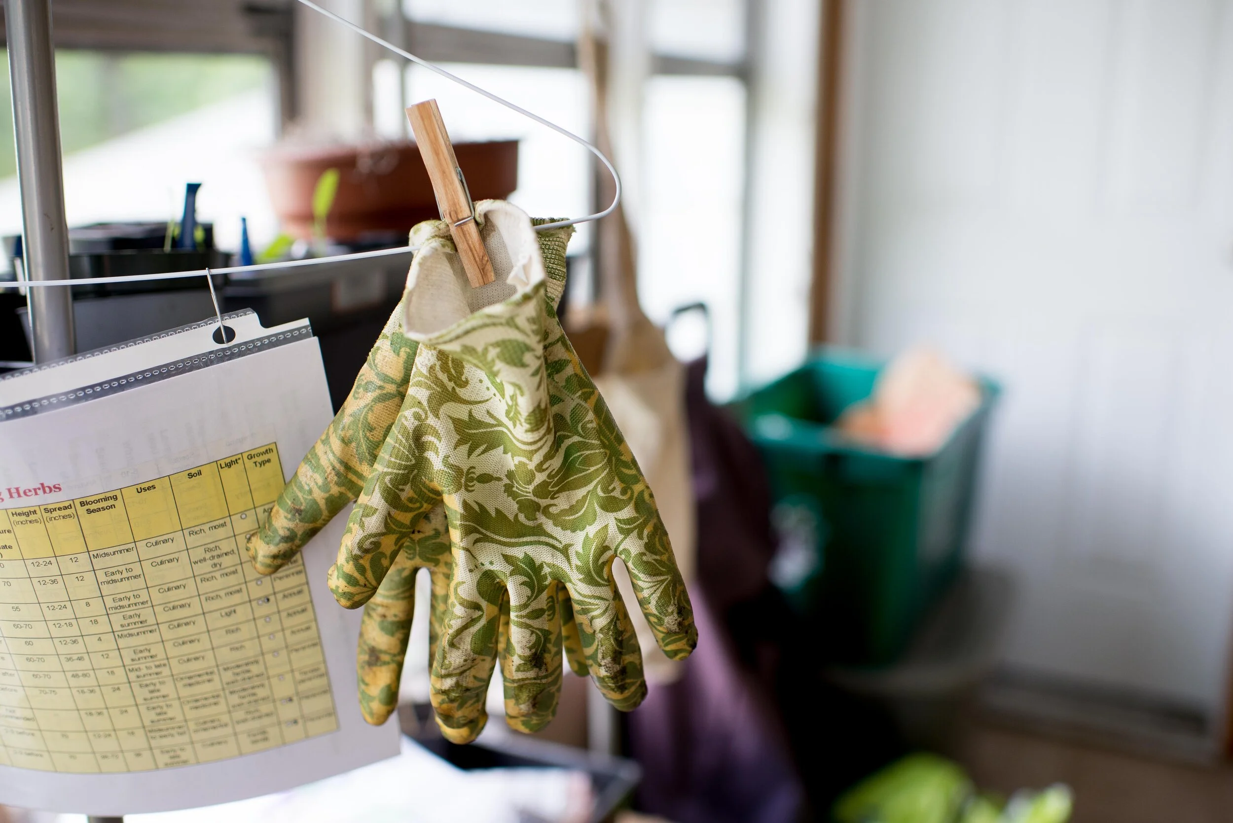 SproutChange Herbalist Worcester MA Priscila Espinosa