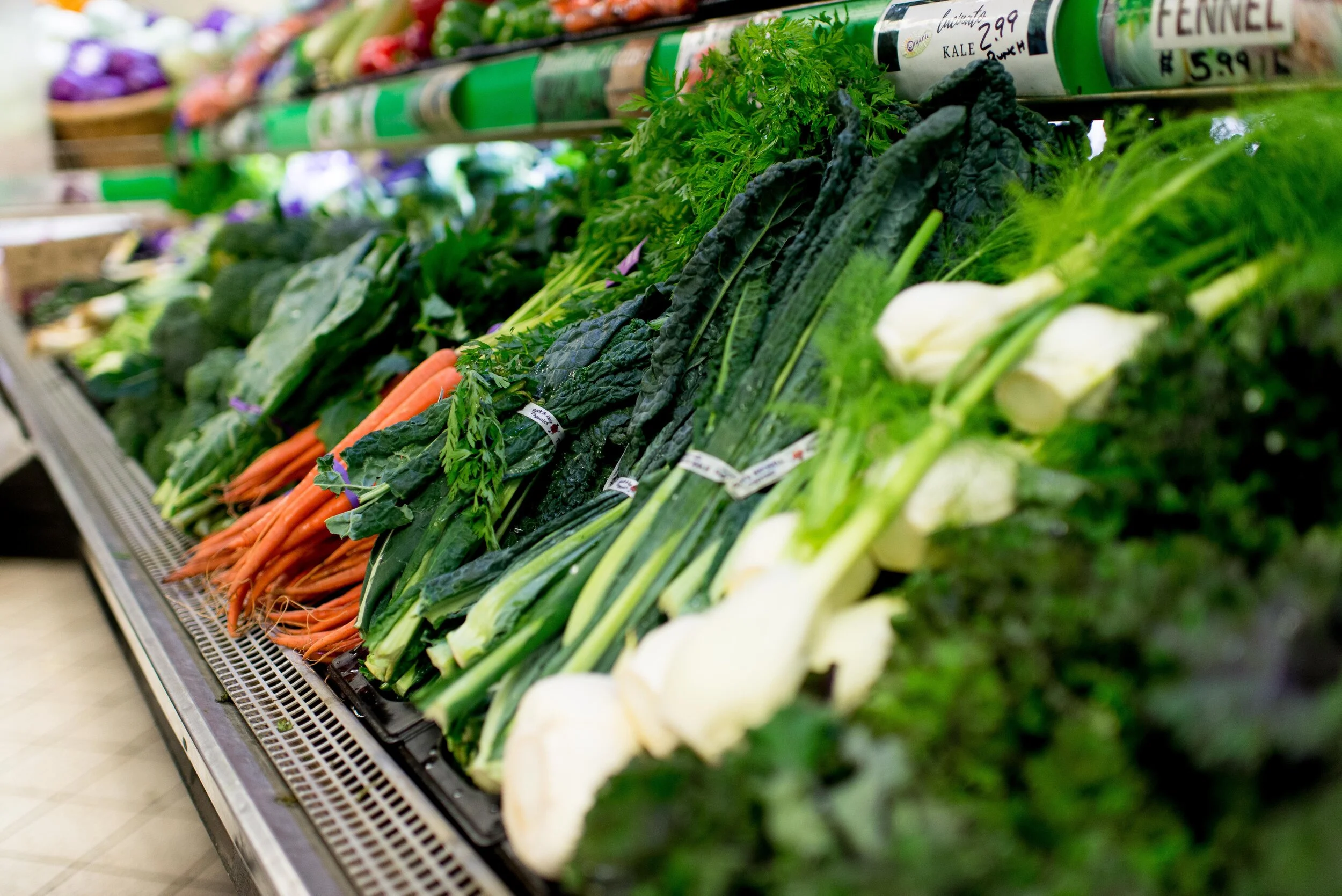 SproutChange Herbalist Worcester MA Priscila Espinosa