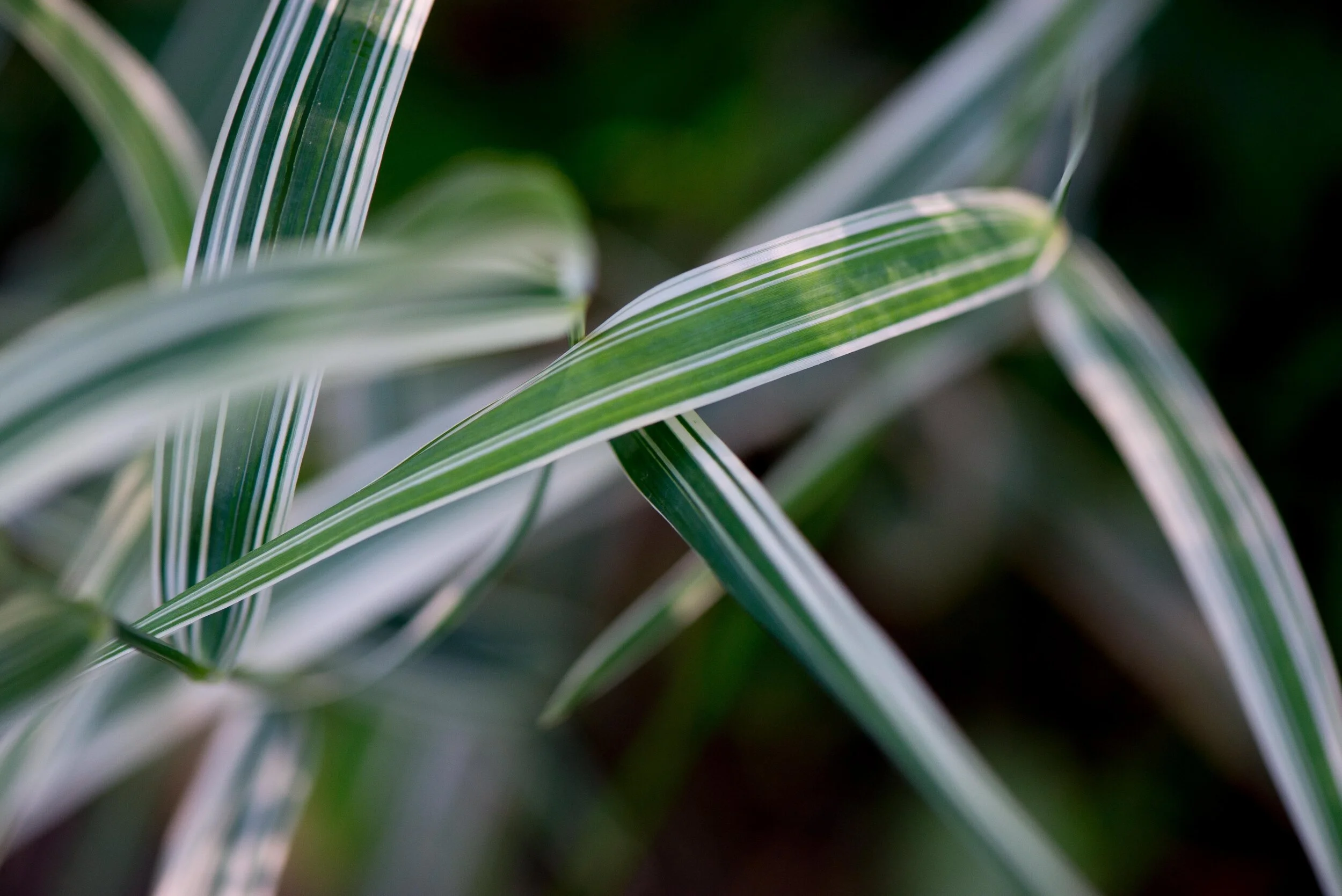 three ways to cultivate creativity