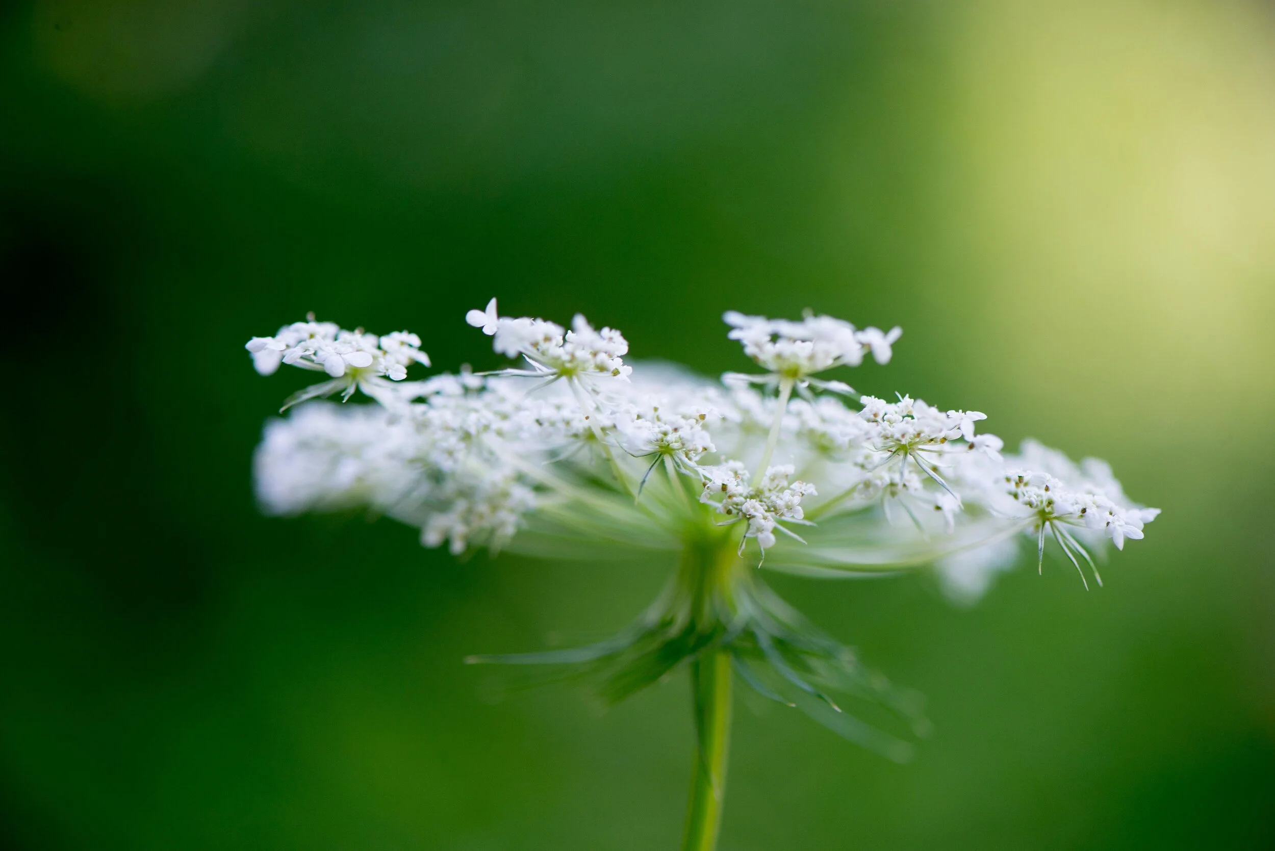 Three Ways To Cultivate Creativity