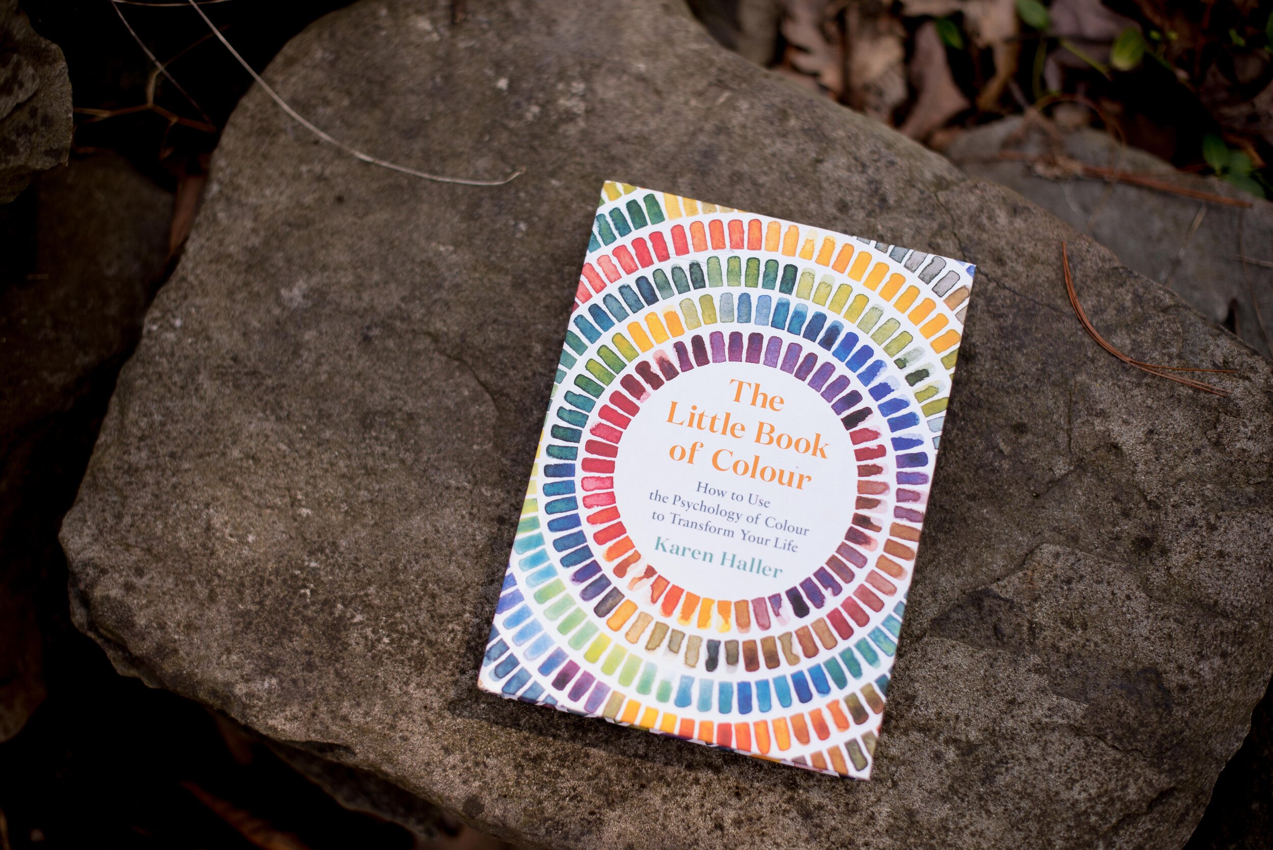 Book Review: A Little Book of Color by Karen Haller
