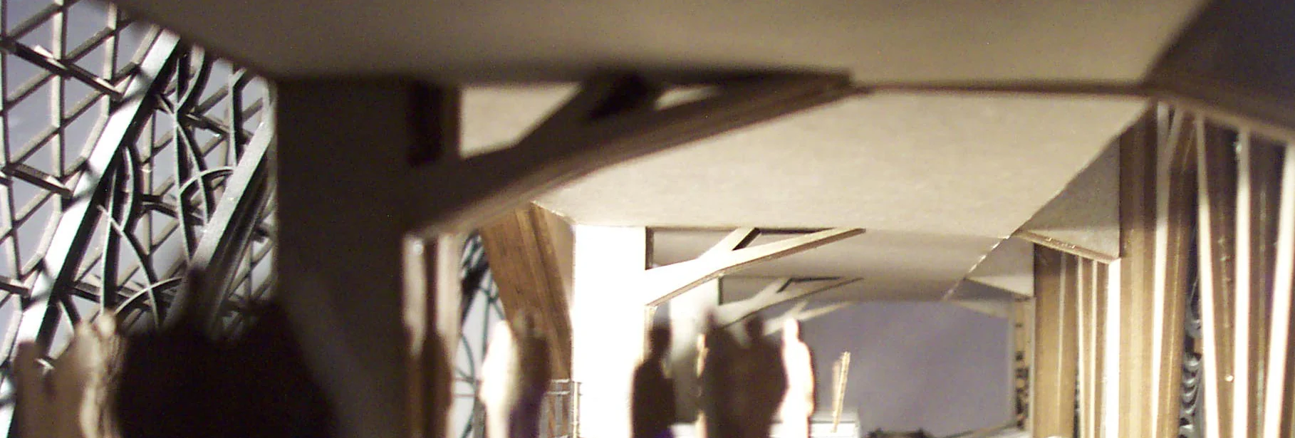 DCP_3673.JPG