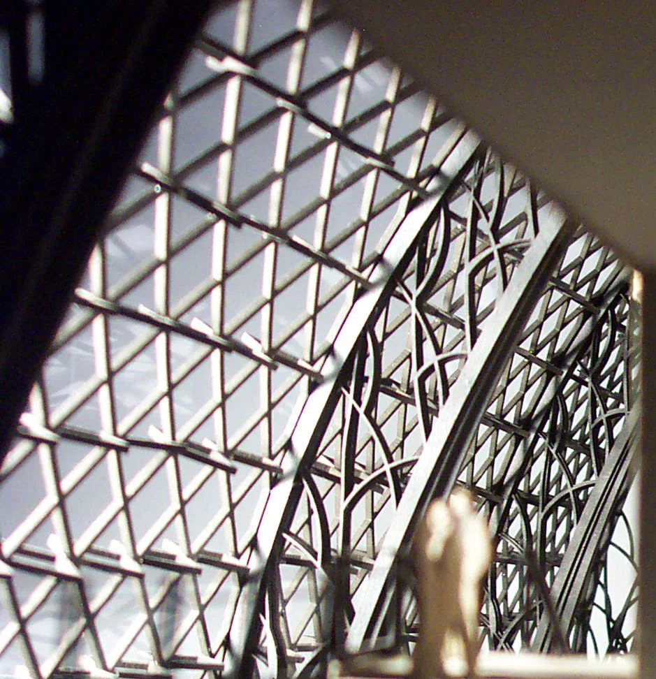 DCP_3672.JPG