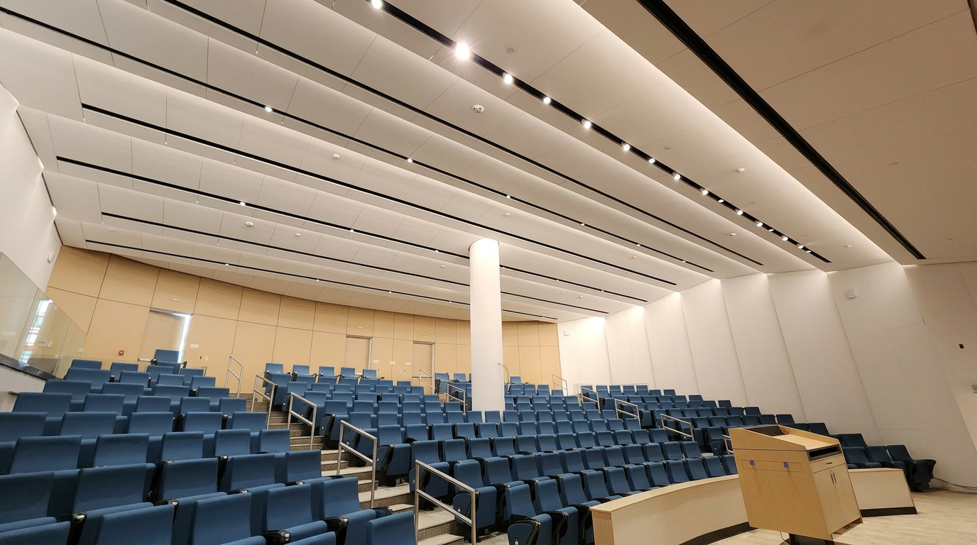 Figure 4 - Lecture Hall.png