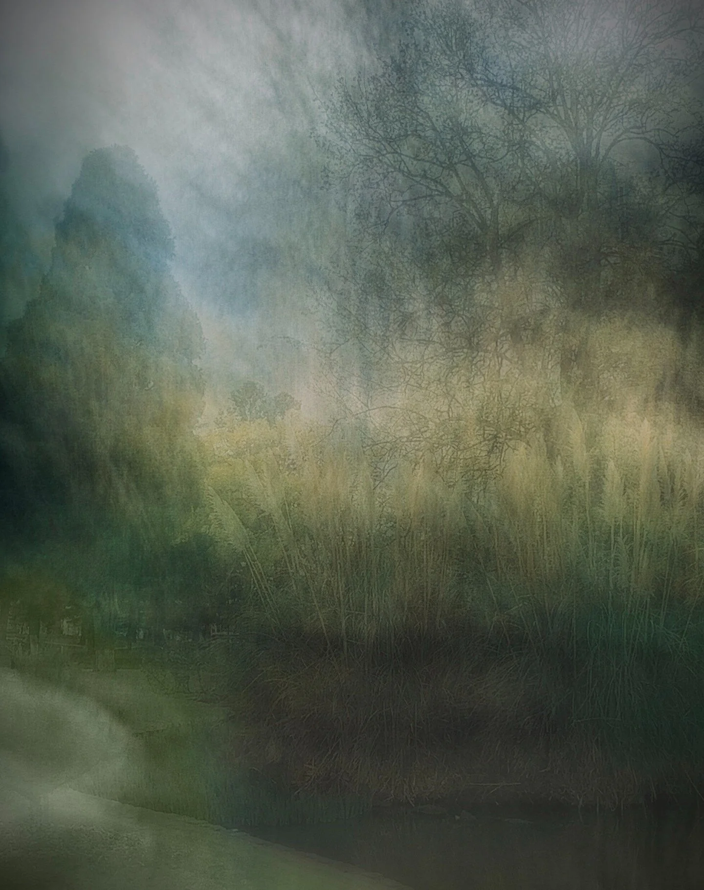 I recently discovered the very first image I created, which was initially a test to explore the iDevice as a medium to connect more deeply with nature. This exploration eventually led me to study the Anhui painters of China and delve into the rich tr