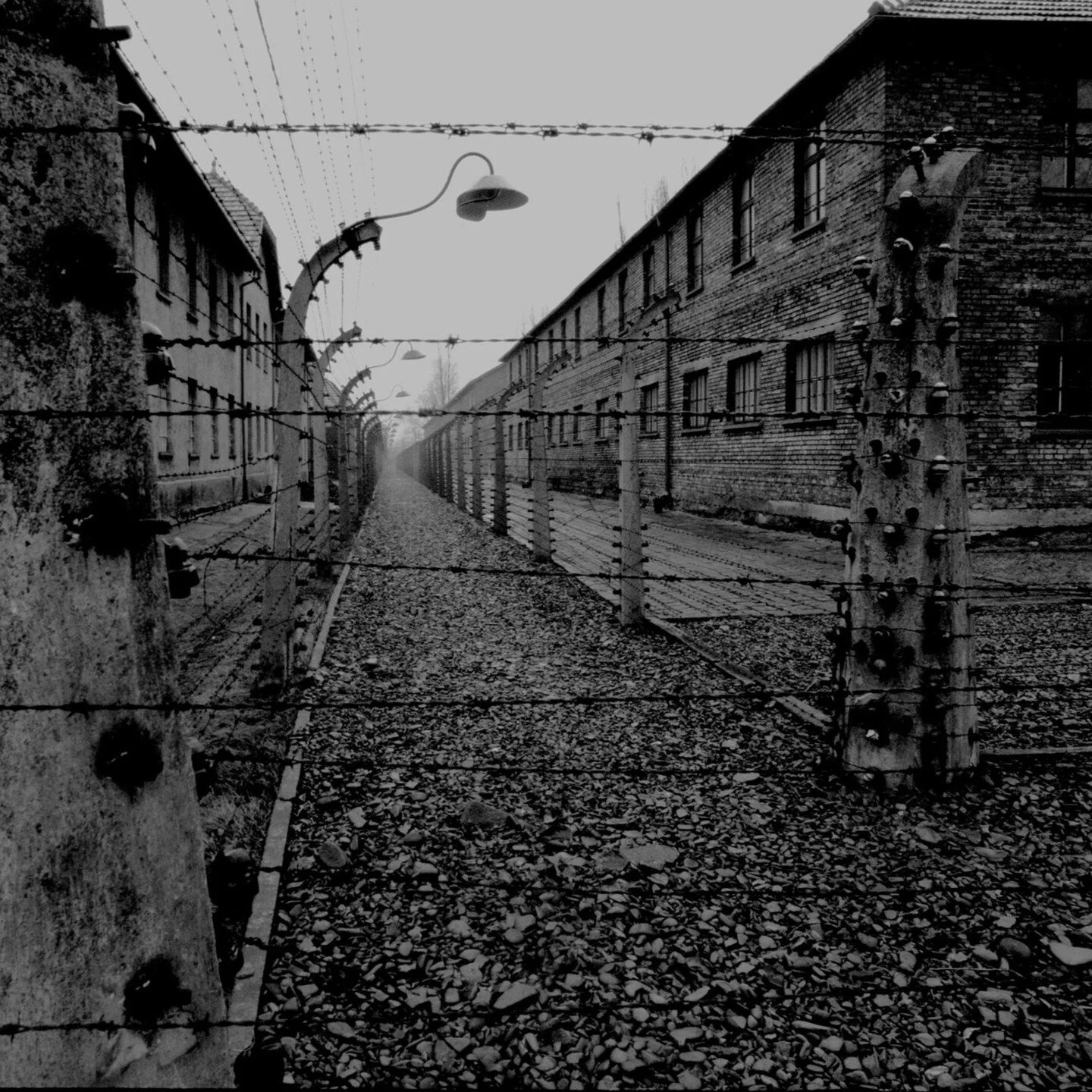 Echoes of the (my) Past: Architecture, History, and Personal Reflection at Melbourne Holocaust Museum
 
LINK IS IN THE BIO/Linktree

Guiding my architectural photography students through the Melbourne Holocaust Museum was both an academic endeavor an