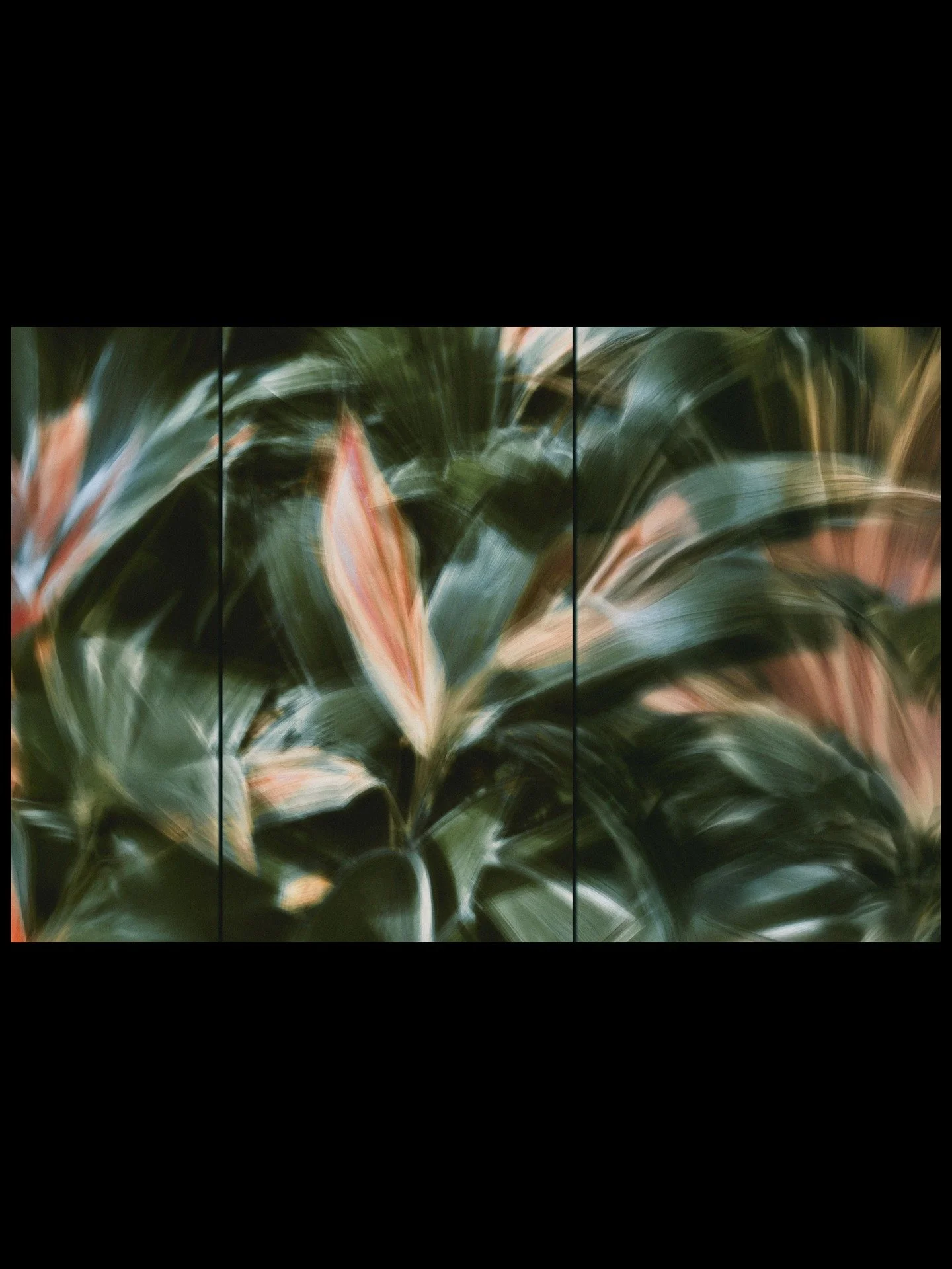 I walked. I looked. I stayed with it. This little view of nature became a threshold between perception and feeling, between what the eye sees and what is within.

These studies explore the space where emotion lives in botanical form. Motion blur as m