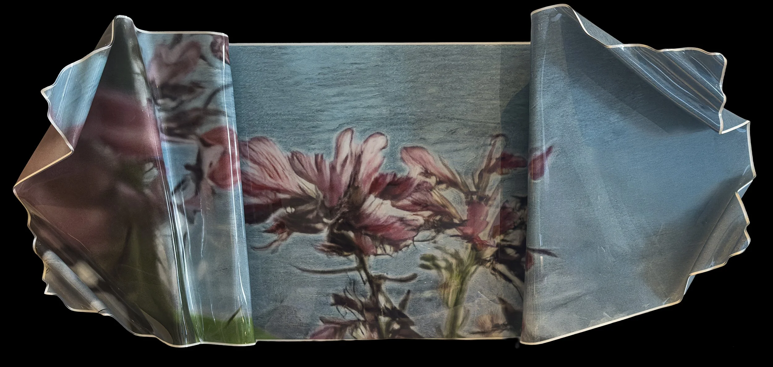 In the Garden by the Creek.jpg