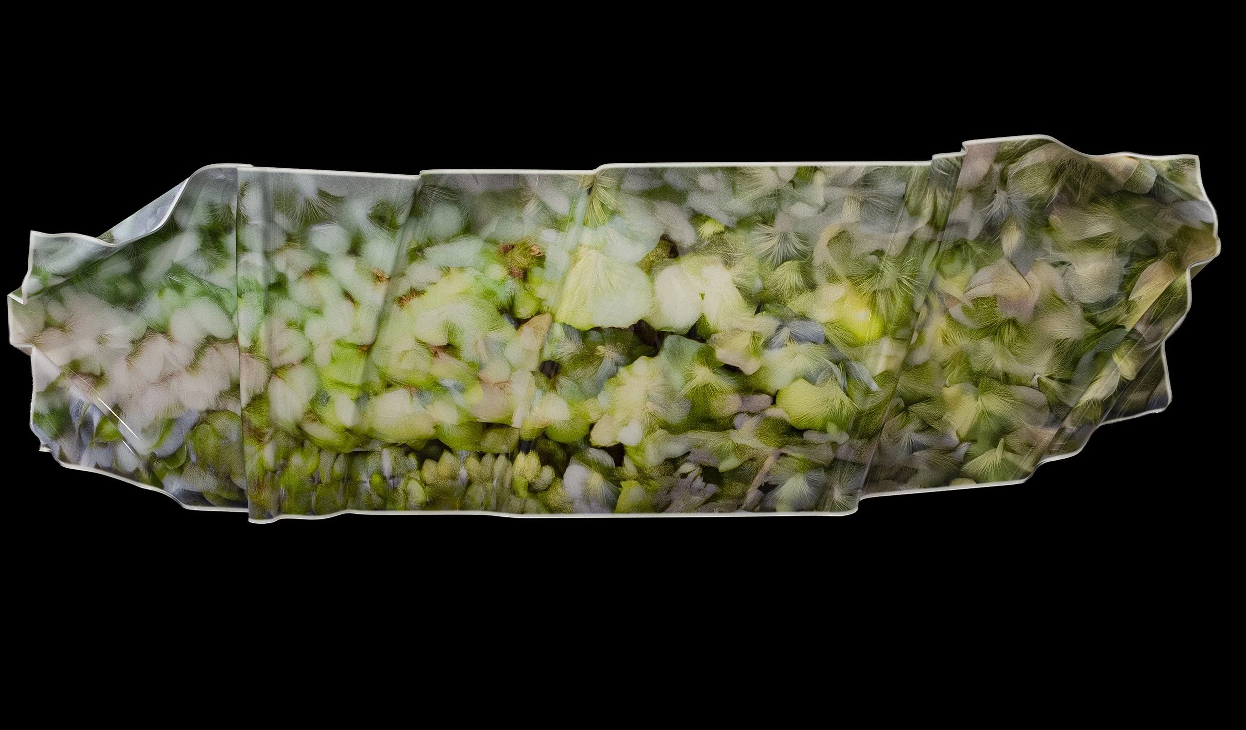 To Be held by the Garden.jpg