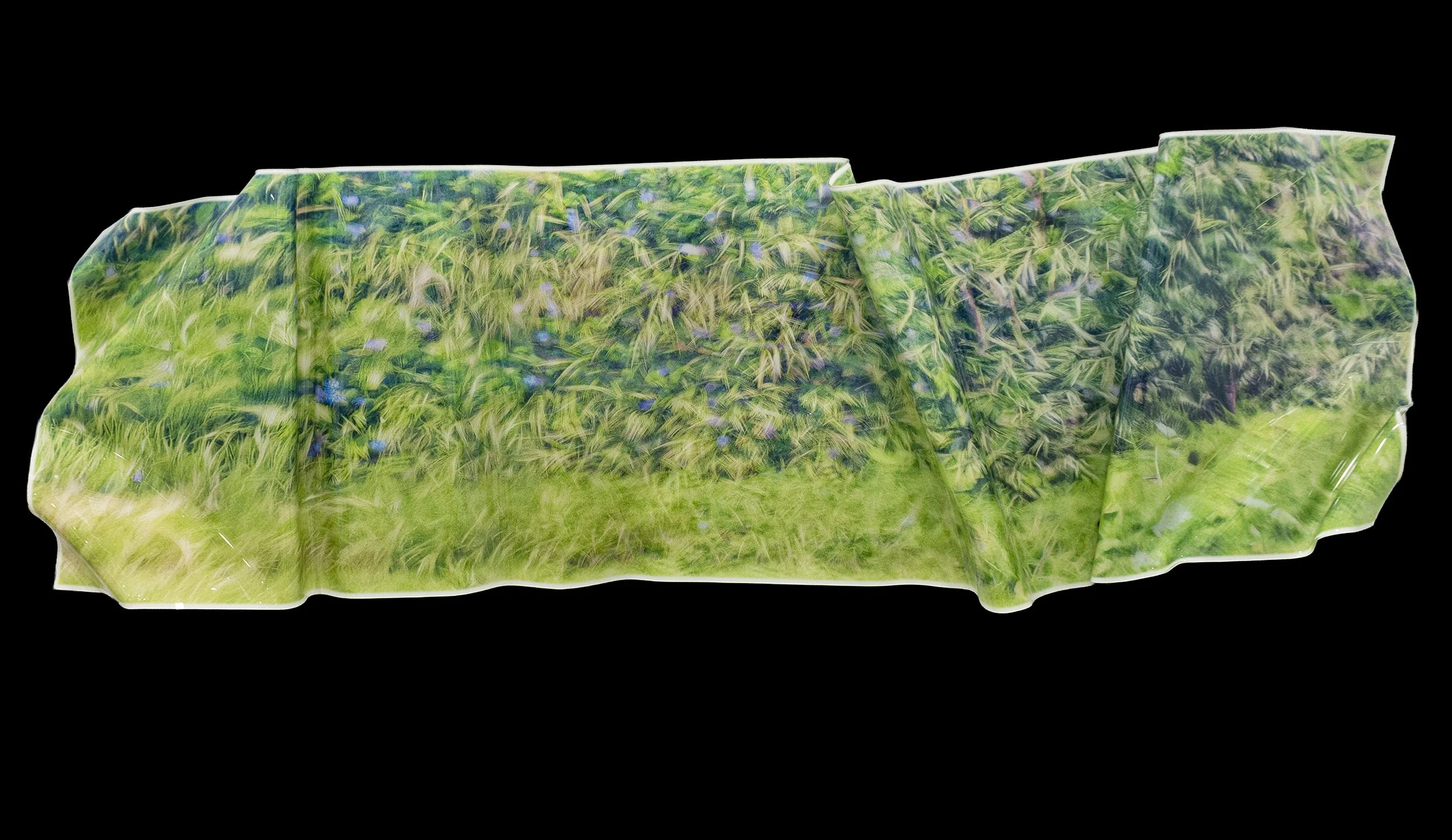 To Wander in the Garden.jpg