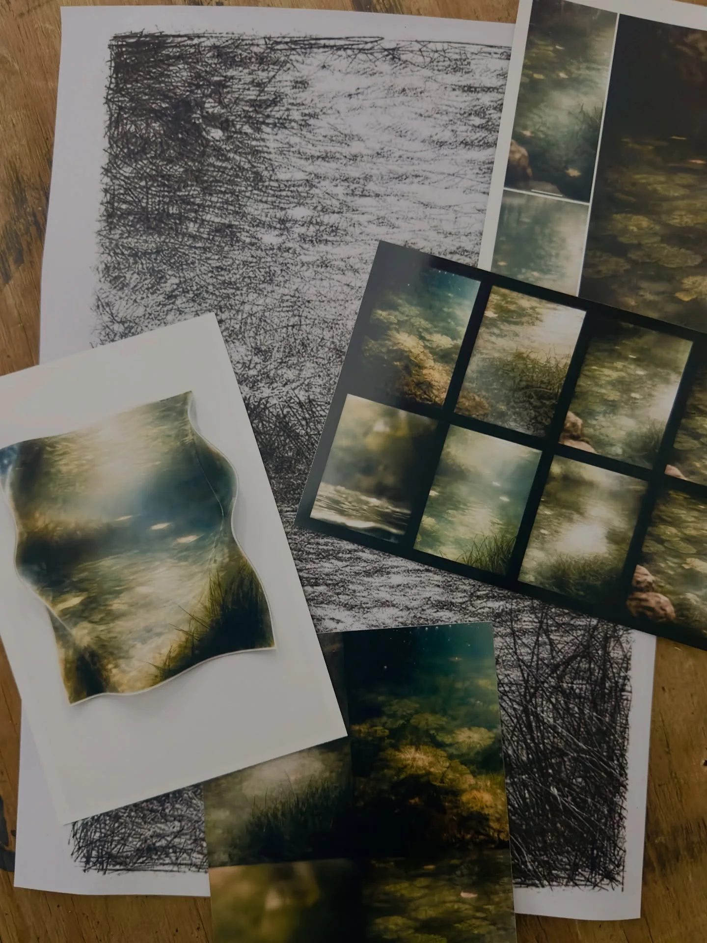 Behind the scenes: exploring new forms, old gardens, and the spaces where memory, technology, and intuition converge. These early studies mark the beginning of a collaboration with Han&mdash;an artist whose perspective continually challenges and insp