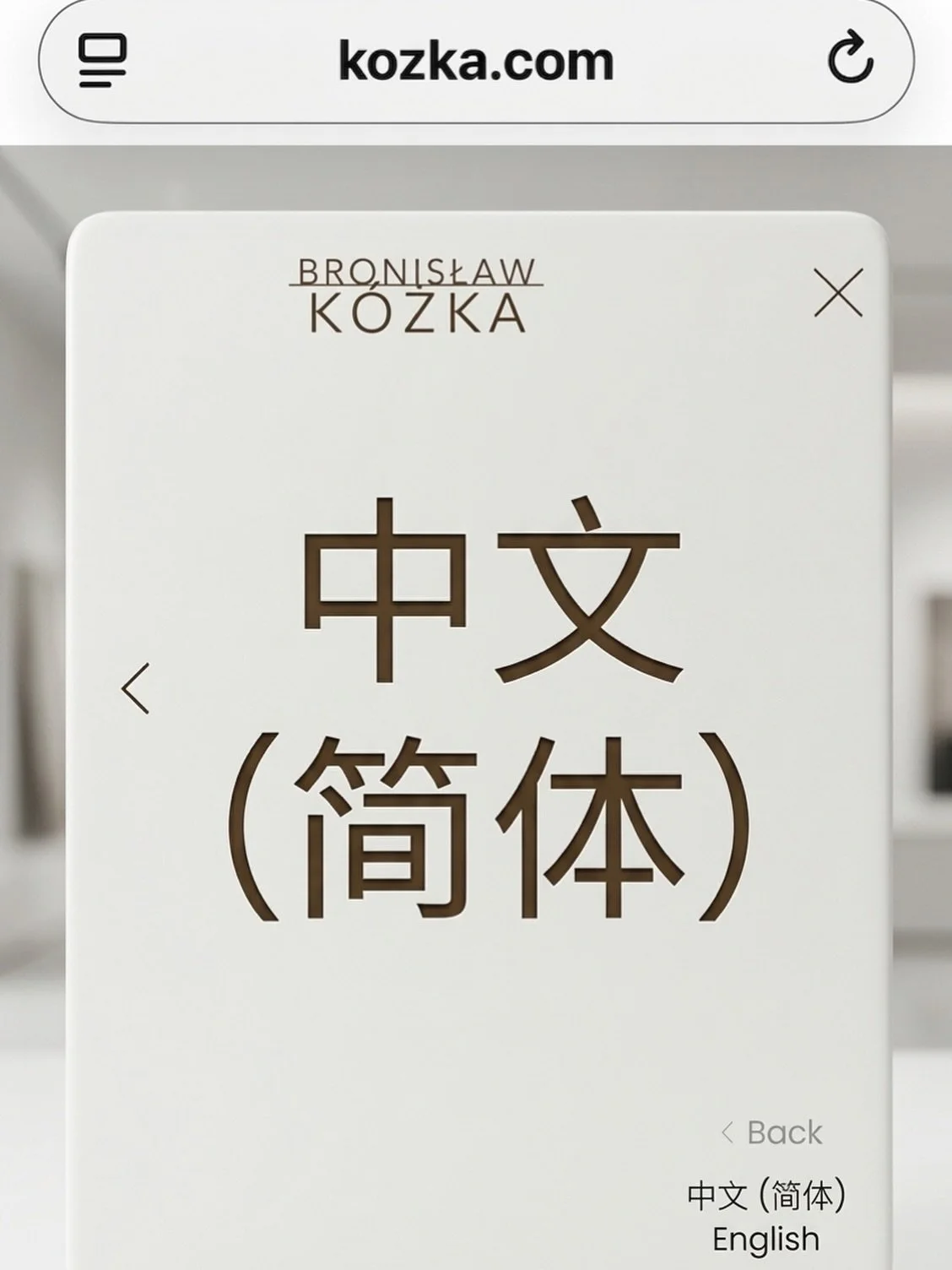 我已通过 Weglot 为我的网站增加了简体中文版本。
随着我在中国持续进行创作、展览与教学，网站仅以英文呈现已不再合理。我的实践本身已经跨越不同语境，网站也应如此。
这次整合保持了原有结构的完整，同时提升了可访问性。
这是一个不大的改变，但却是必要的一步。
www.kozka.com