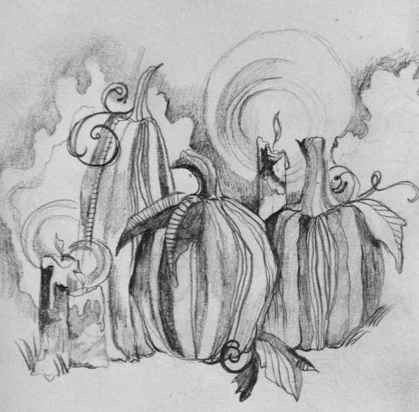 pumpkins 2016.jpg