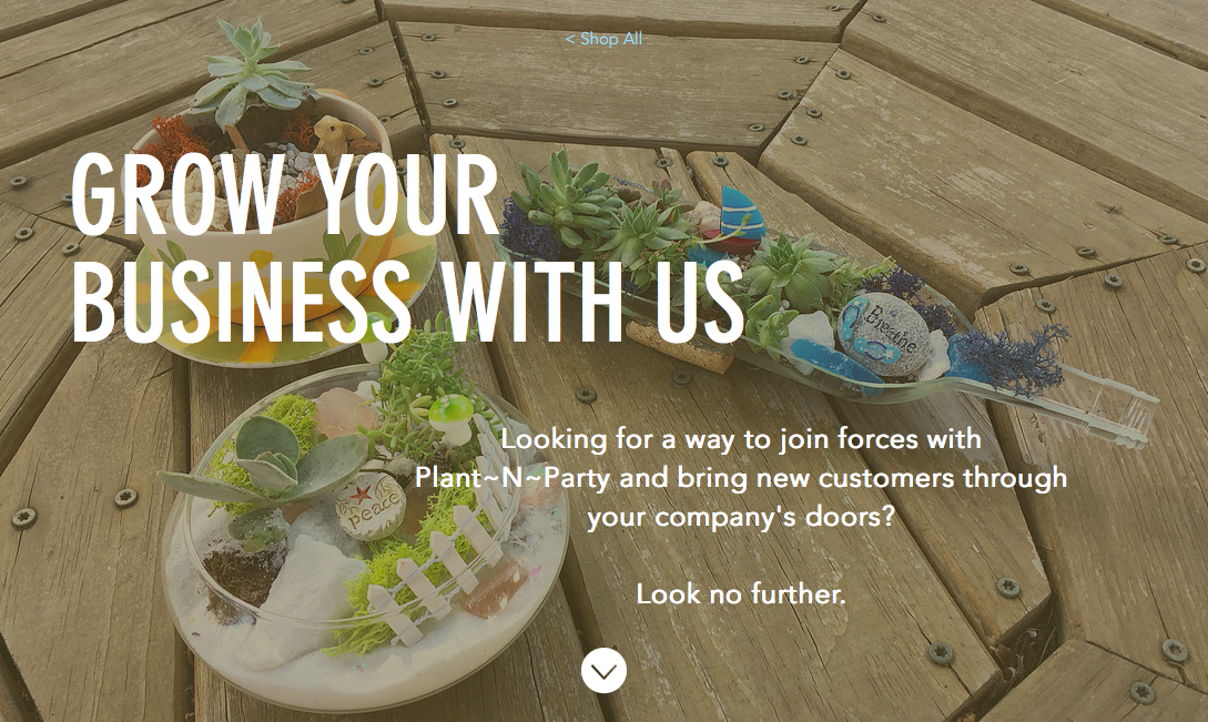 Plant~N~Party Website Banner