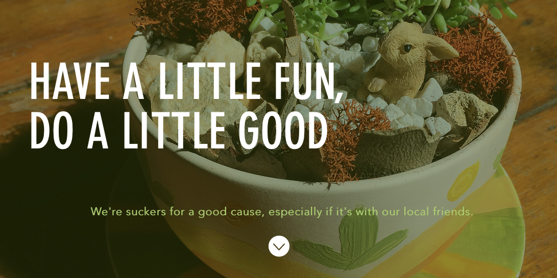 Plant~N~Party Website Banner