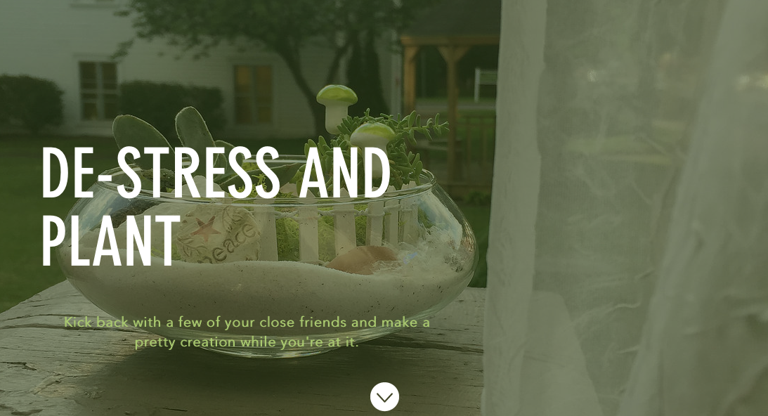 Plant~N~Party Website Banner