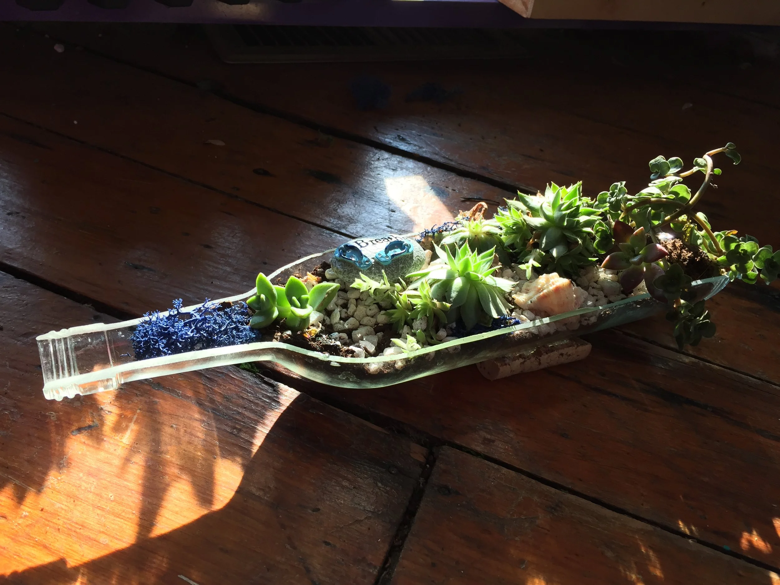 Wine Bottle Garden Promotional Photo