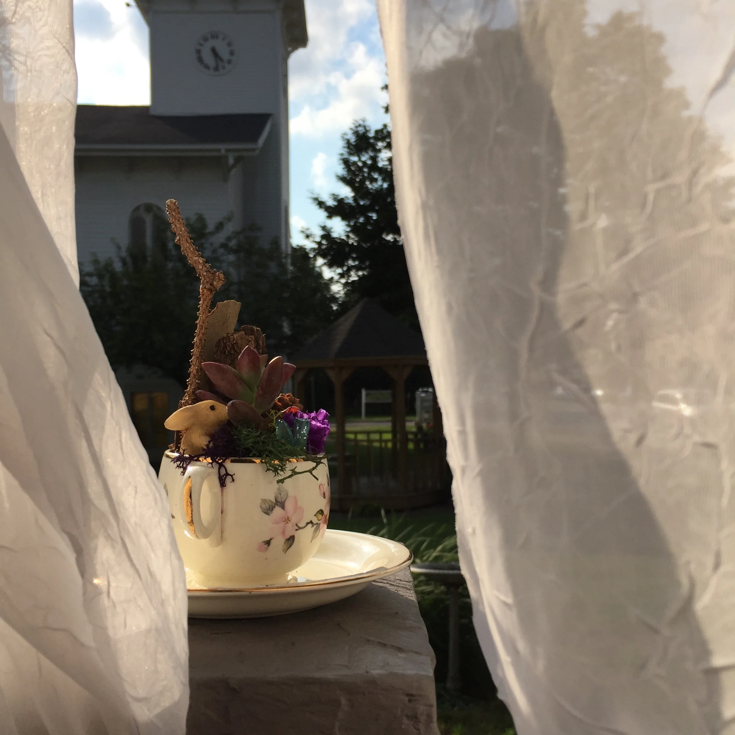 Teacup Garden Promotional Photo