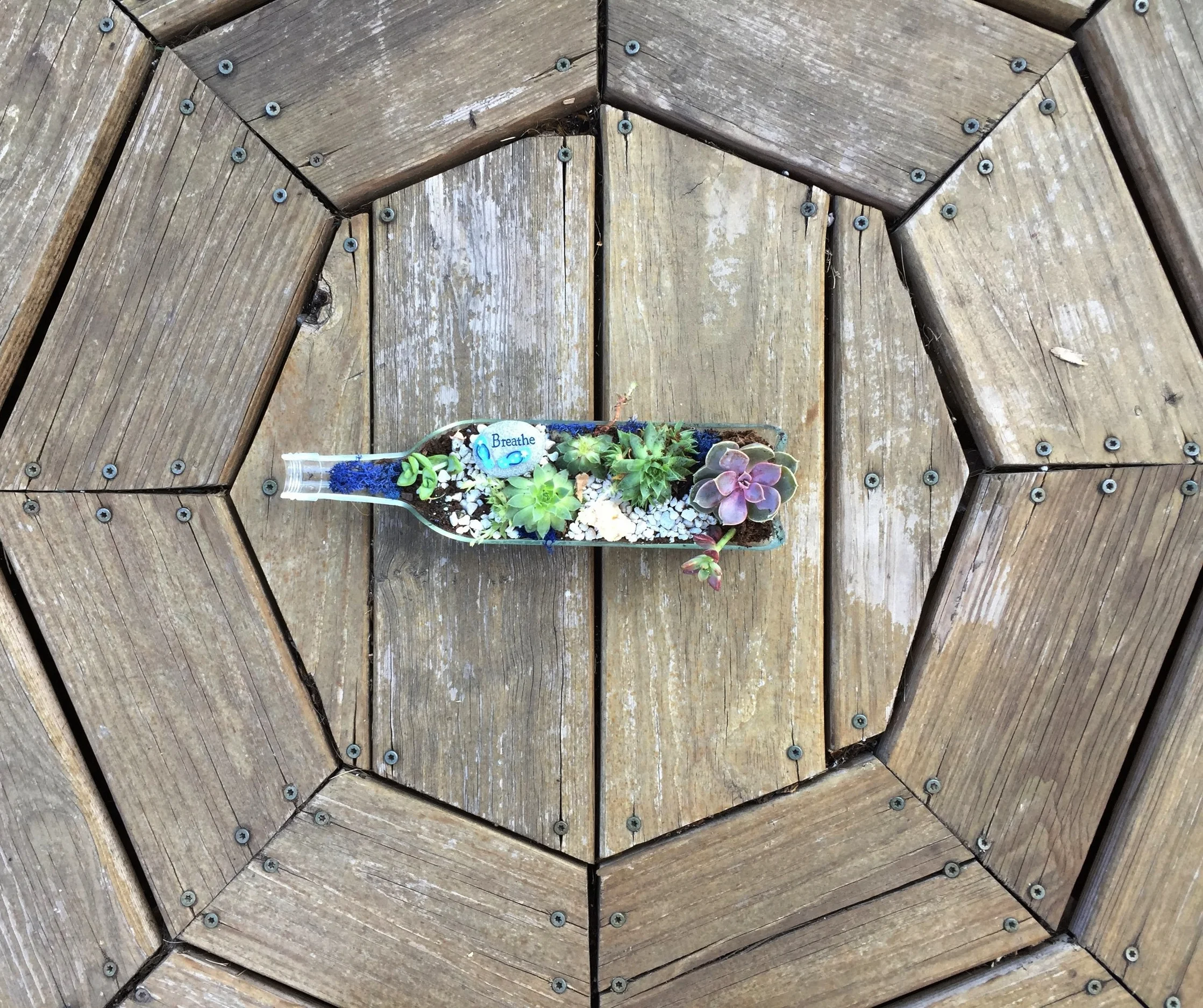 Wine Bottle Garden Promotional Photo